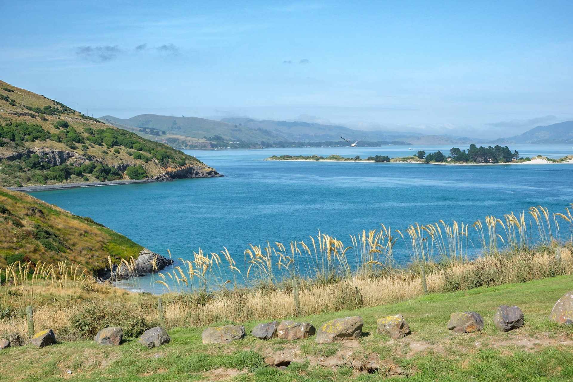 otago peninsula