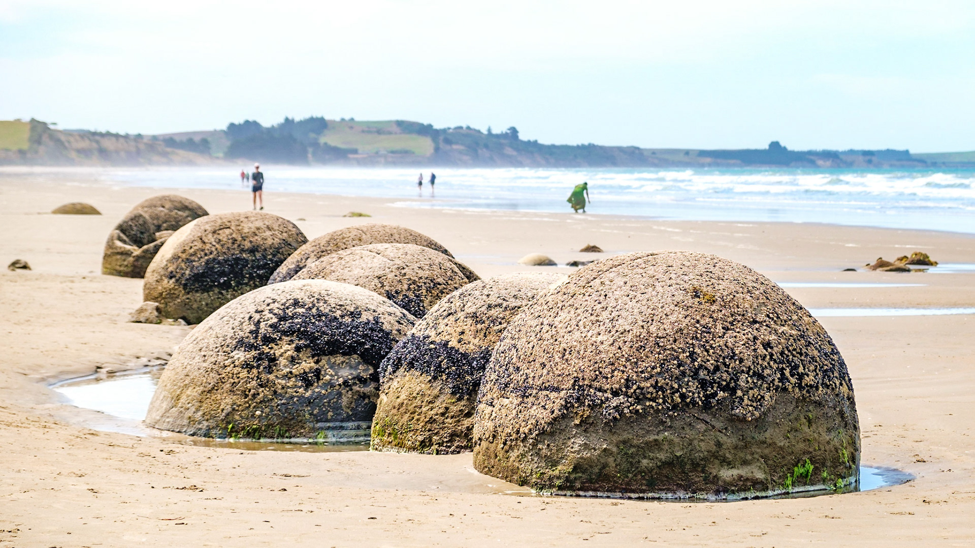 moeraki boulders