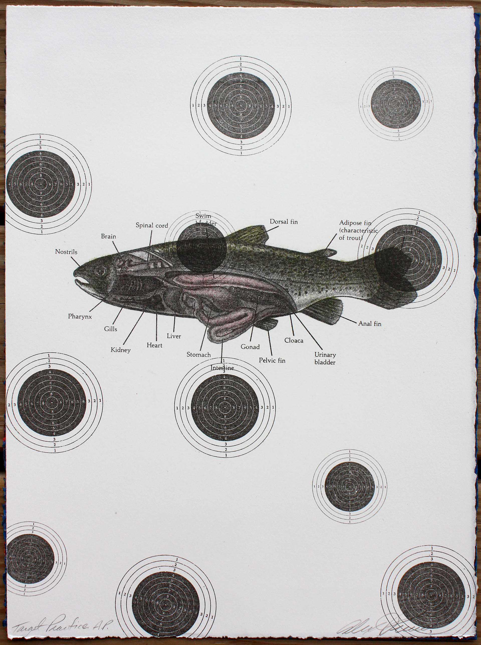 Target Practice, Alex Pená (Santa Fe, New Mexico), stone lithograph, $200