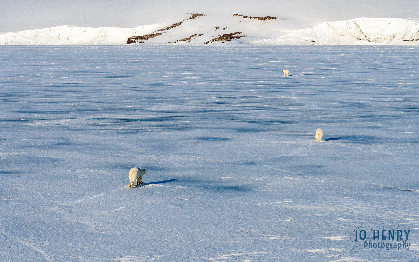 A Fragile Environment