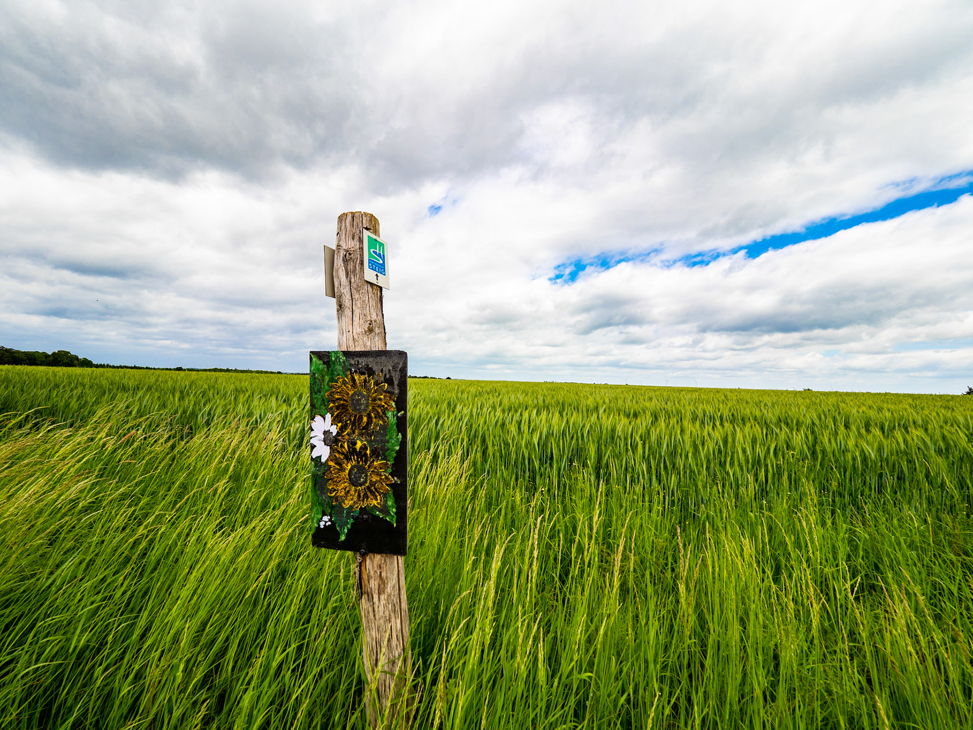 Kunst im Feld