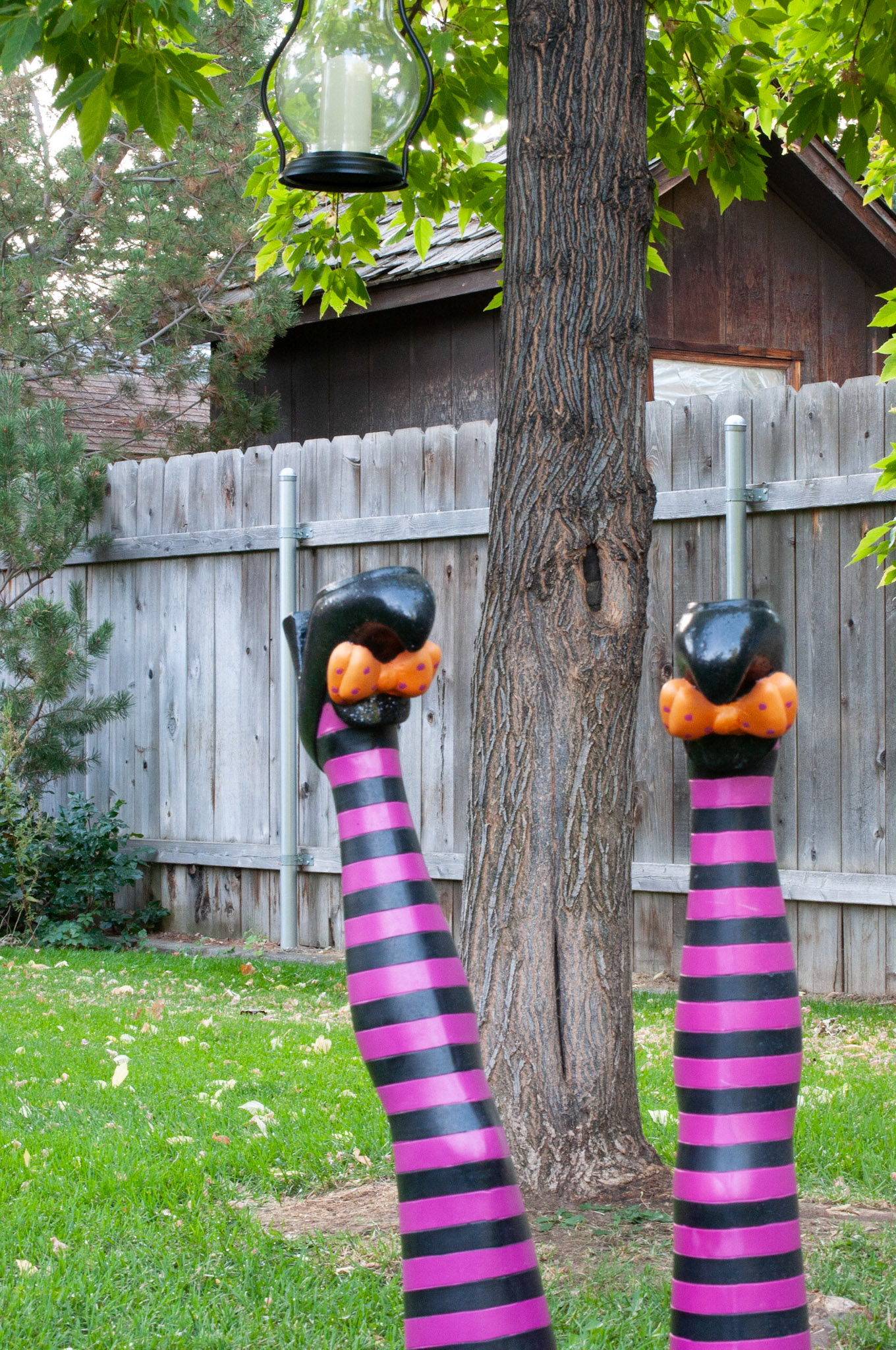 This was witch legs shot at 1/15s F16 and ISO 1250, Still shot to show depth, 20200926, Backyard, Miller, This setting washed out and lost color vibrancy when adjusting my ISO/F/Shutter speed. I continued to adjust to see what changed in the photograph. Camera Settings: Nikon D500, ISO 1250, 55mm, f/416 1/15s