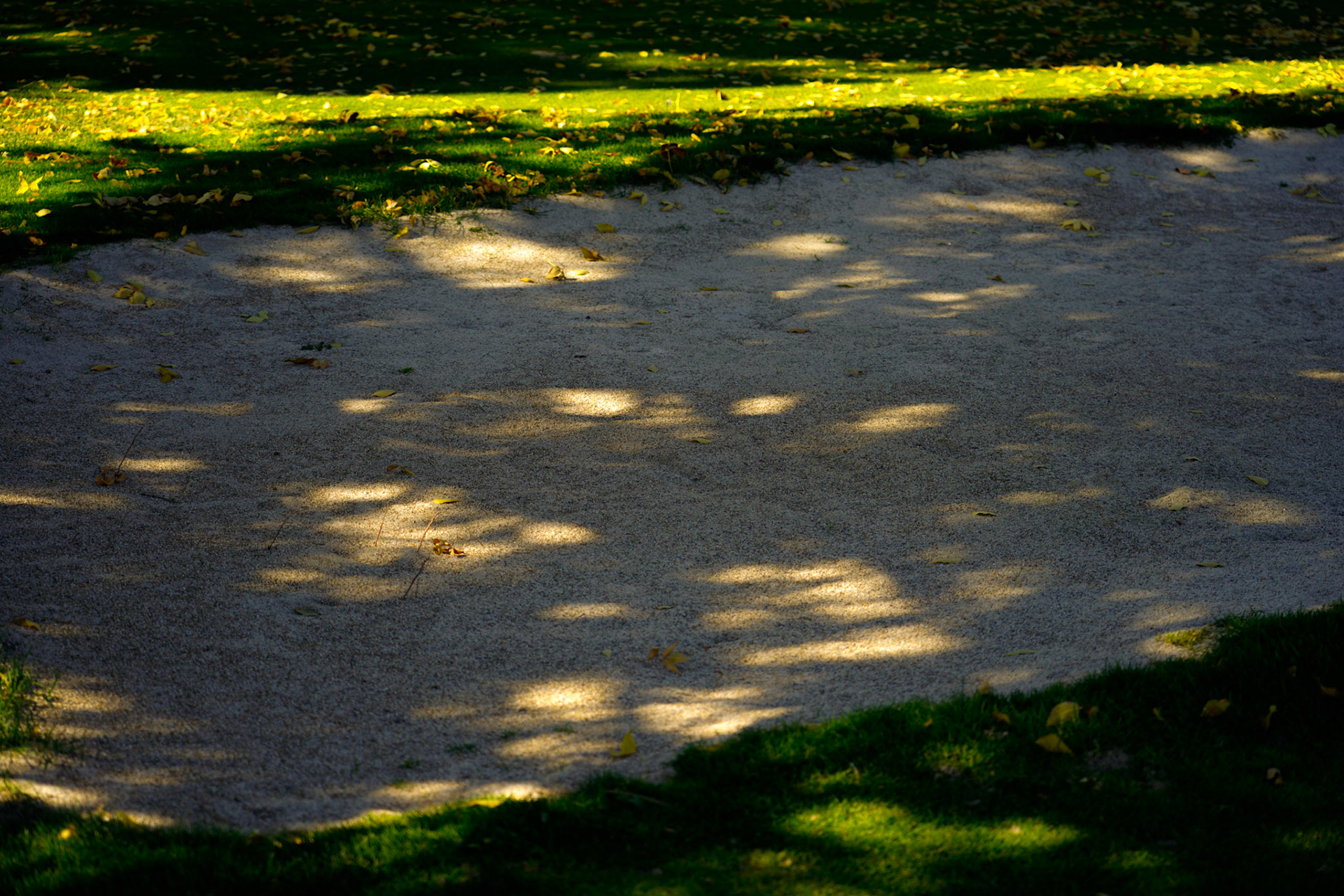 3. Sand Trap, Pools of light shining on sand trap, 20201020, Silver Sage golf course, Miller, Enjoyed the aftenoon prior to leaving on a work trip and found the serenity of the golf course, I really liked the way the light came through the shadows, pools of bright colors next to the subdued shadow. JPG ISO 50, 75 mm, f/4, 1/200sec