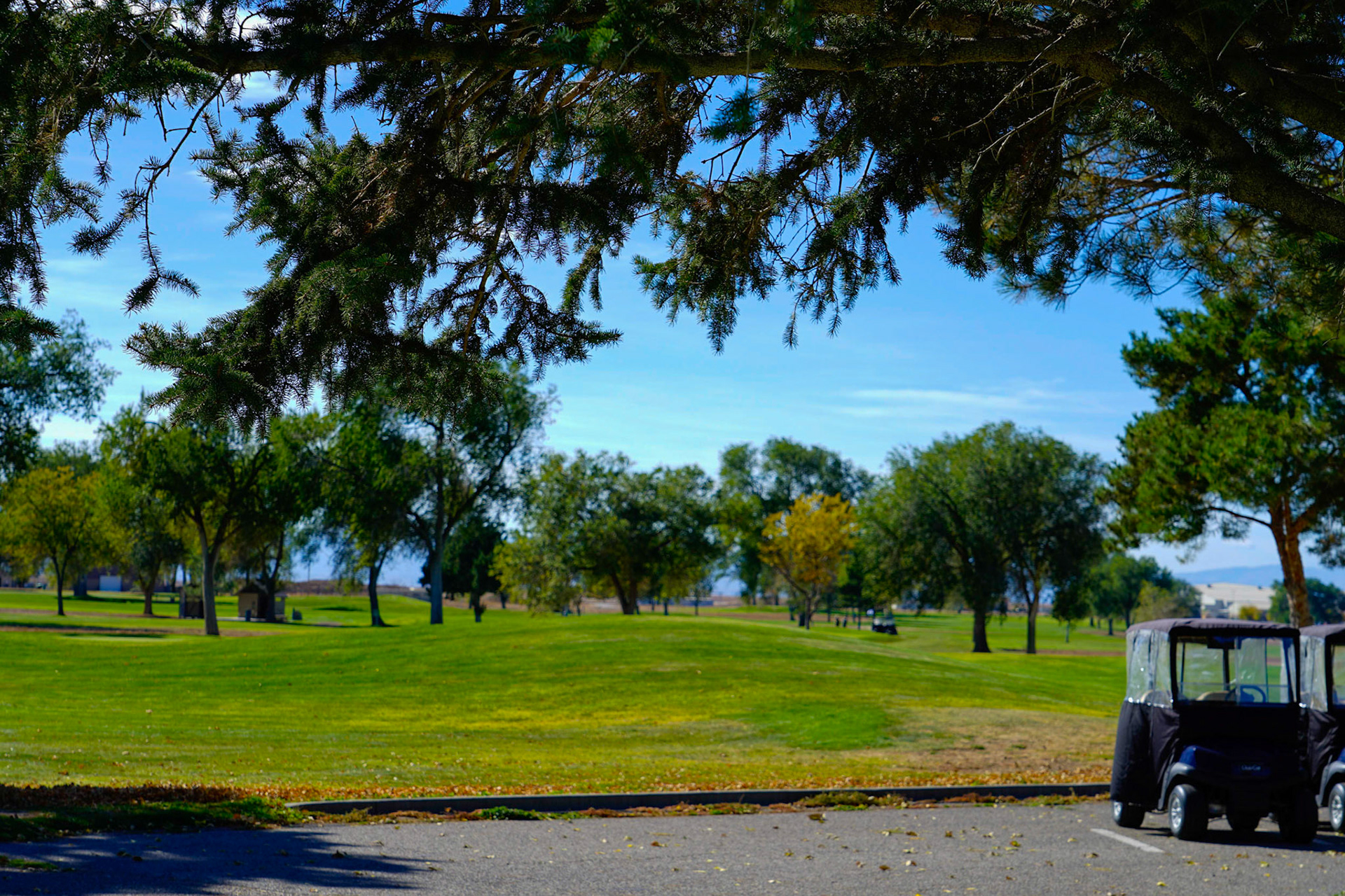 9. Tee Time, Inviting fall day to the Silver Sage Golf Course, 20201020, SilverS age golf course, Miller, Enjoyed the aftenoon prior to leaving on a work trip and found the serenity of the golf course, JPG, ISO 50, 73mm, f/7.1, 1/150sec
