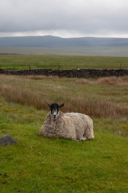 SC 27 | Yorkshire Dales, Ribblehead