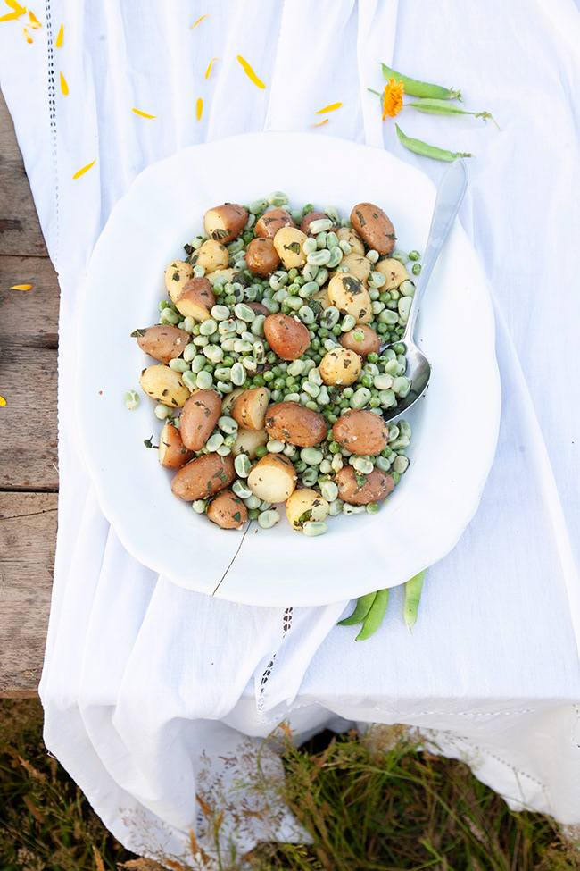MV 025 | potato bean salad