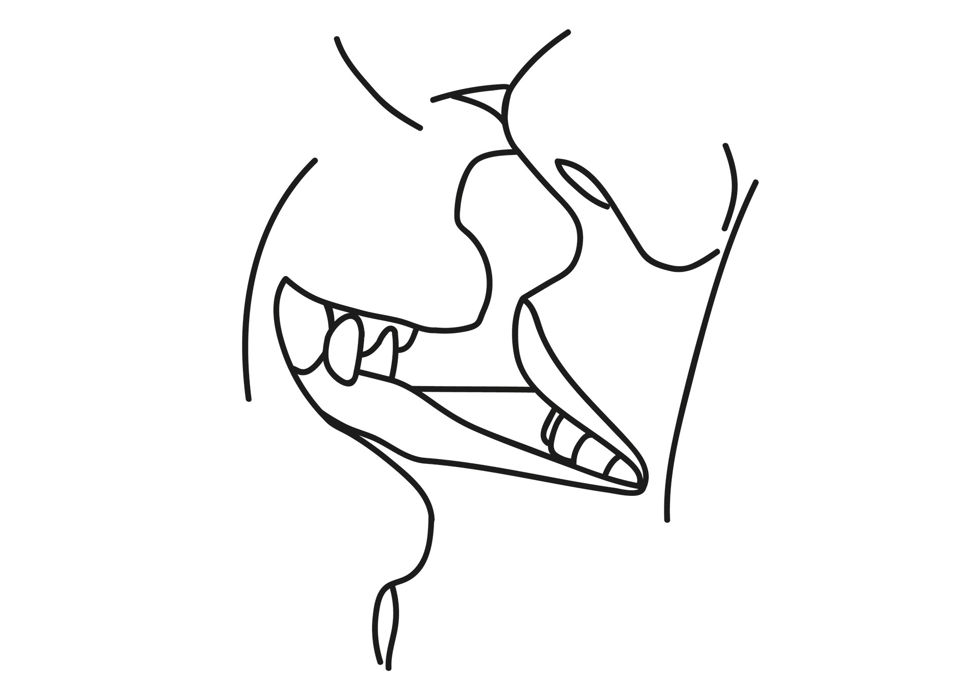 Beeldonderzoek