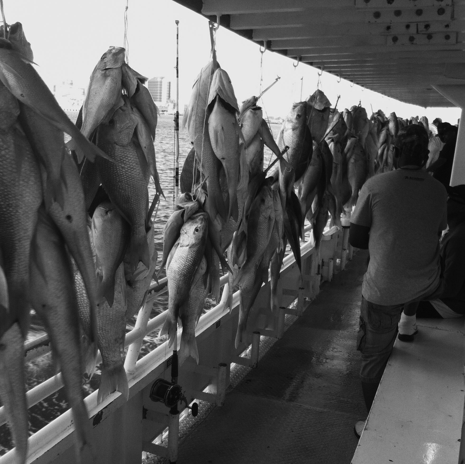 Processed with VSCO with p5 preset