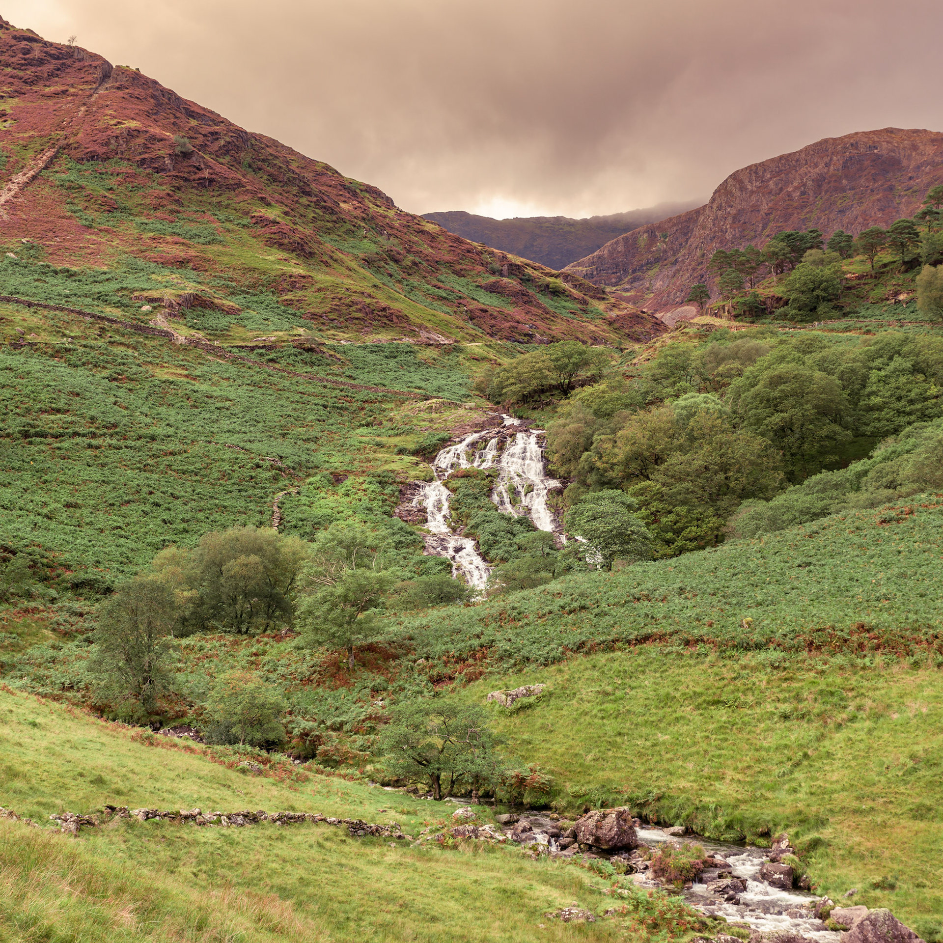 Rapids and waterfalls of Afon Cwm Llan viewed from the Watkin Path Snowdonia National Park, Wales