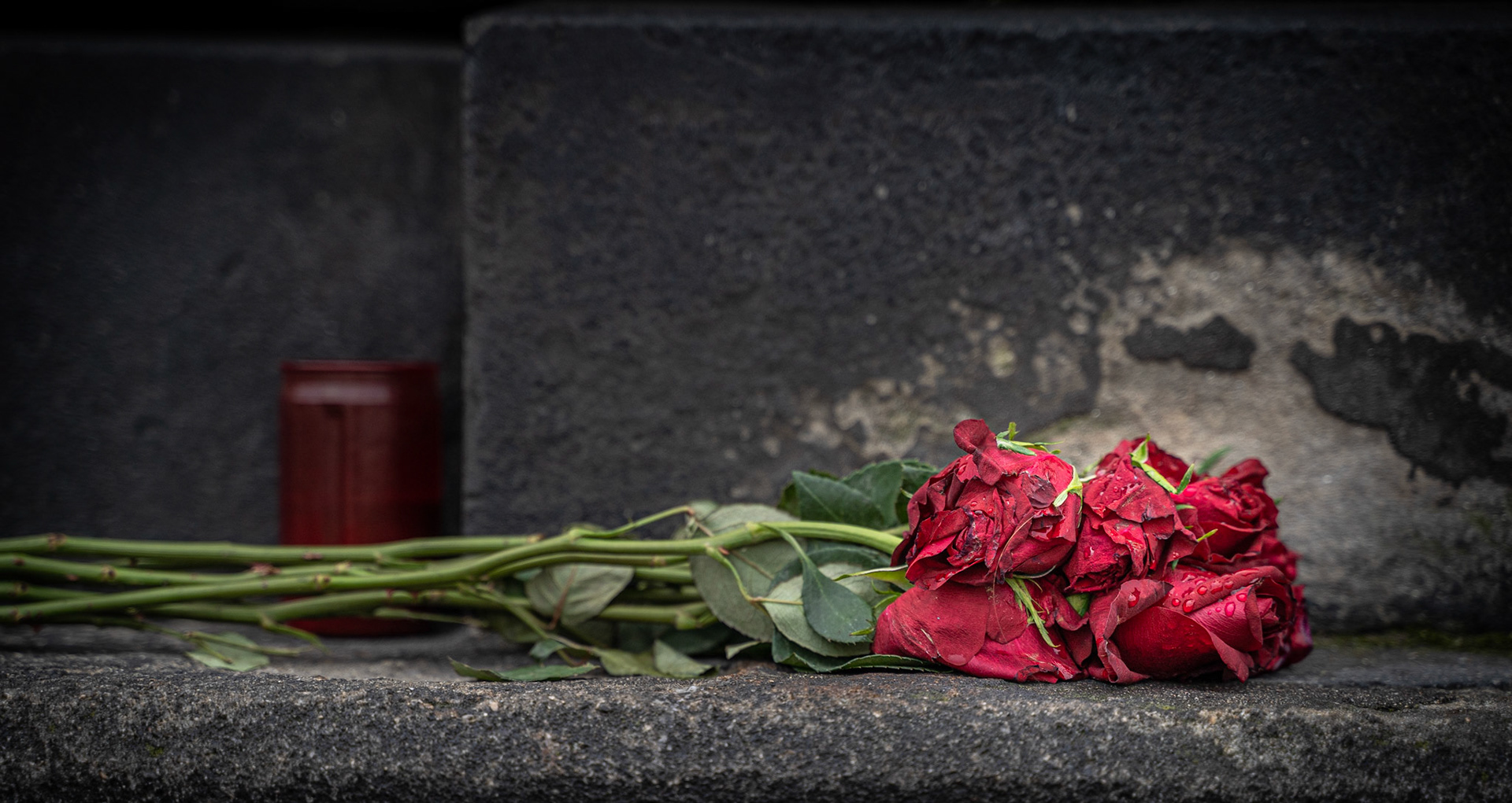 guns n roses - Prague@2019