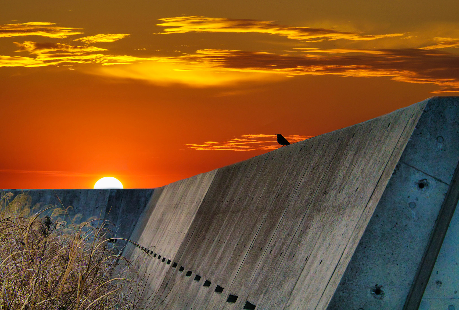 gold plated  - Tokyo, Japan@2019