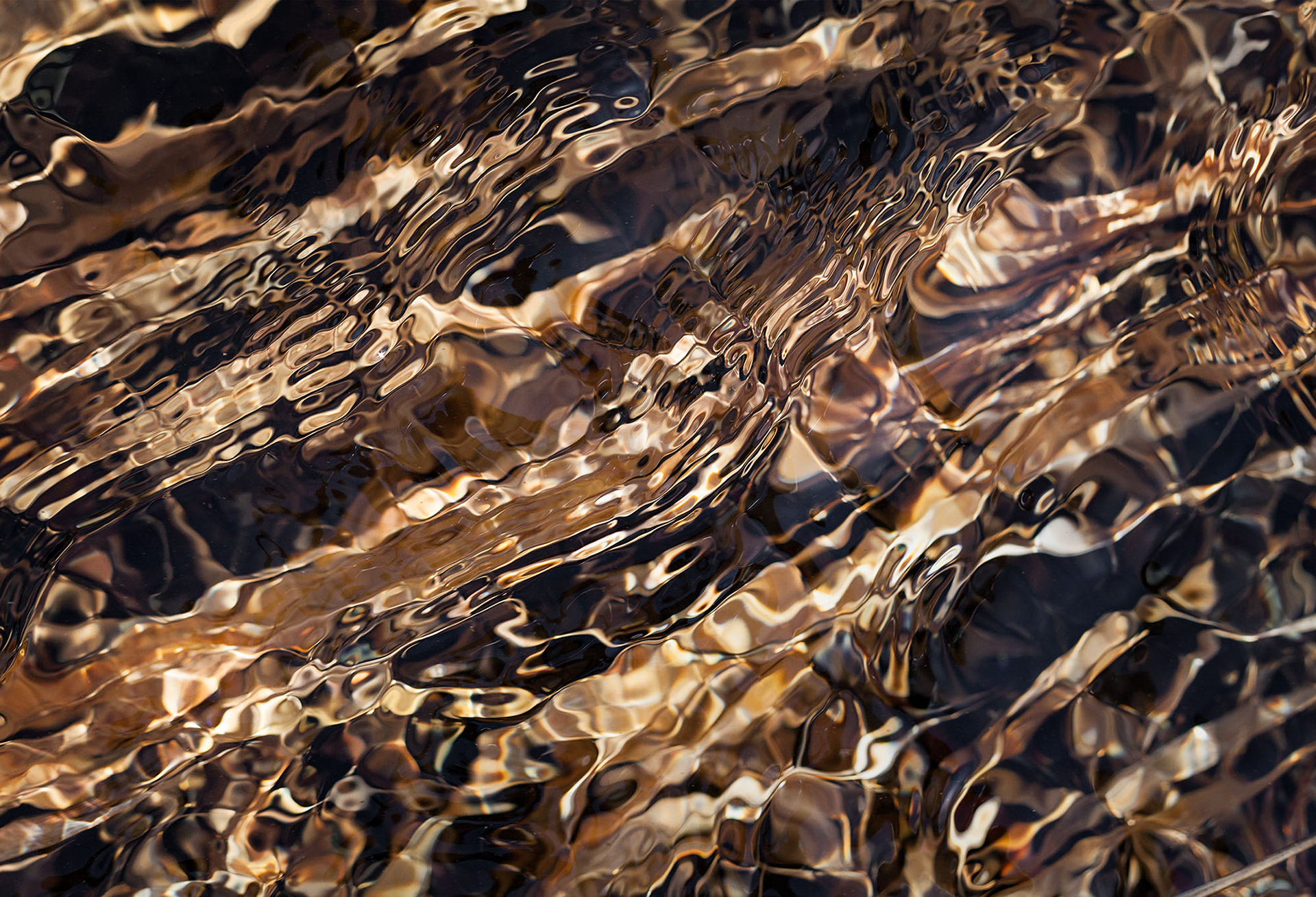 Immersion #3, 30" x 44", edition of 10, $1100