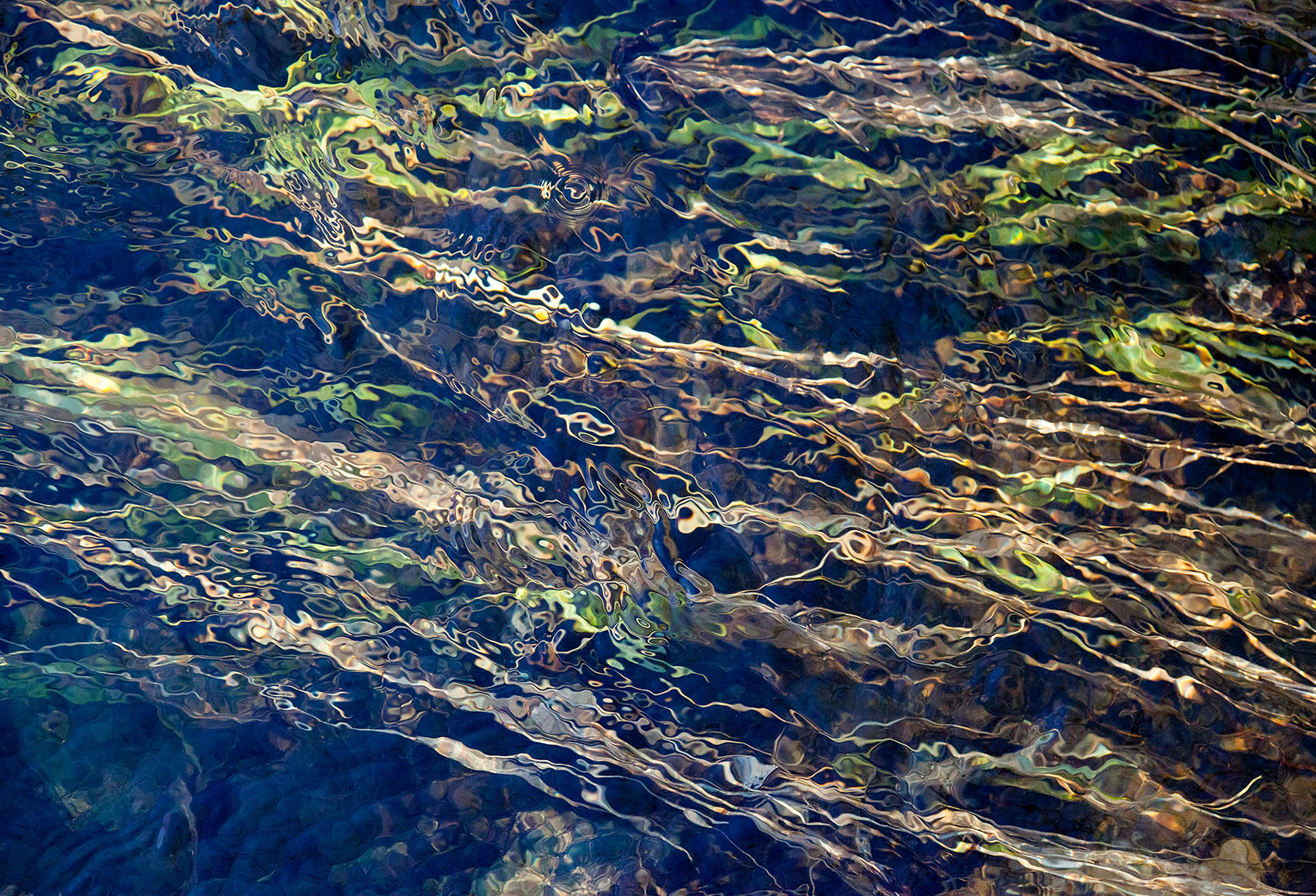 Immersion #2, 30" x 44", edition of 10, $1100