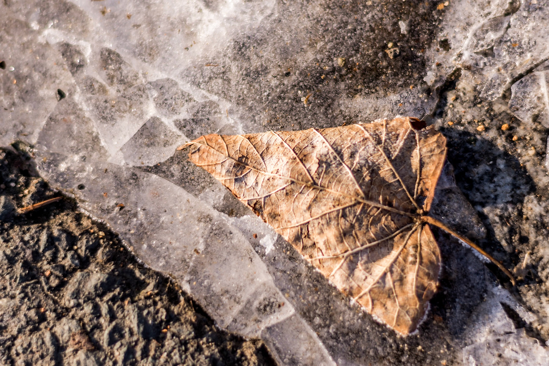 Es geht doch nichts über einen schönen #Spaziergang mit den Kindern, vorallem bei so herrlichem Wetter.