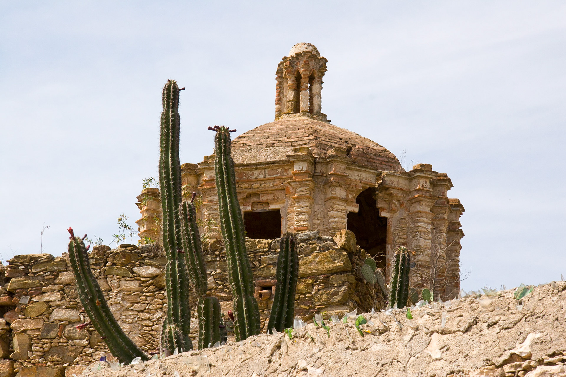 Cactus Cathedral