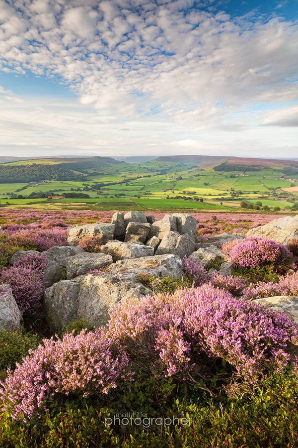 Matt Hillier Photographer - North York Moors