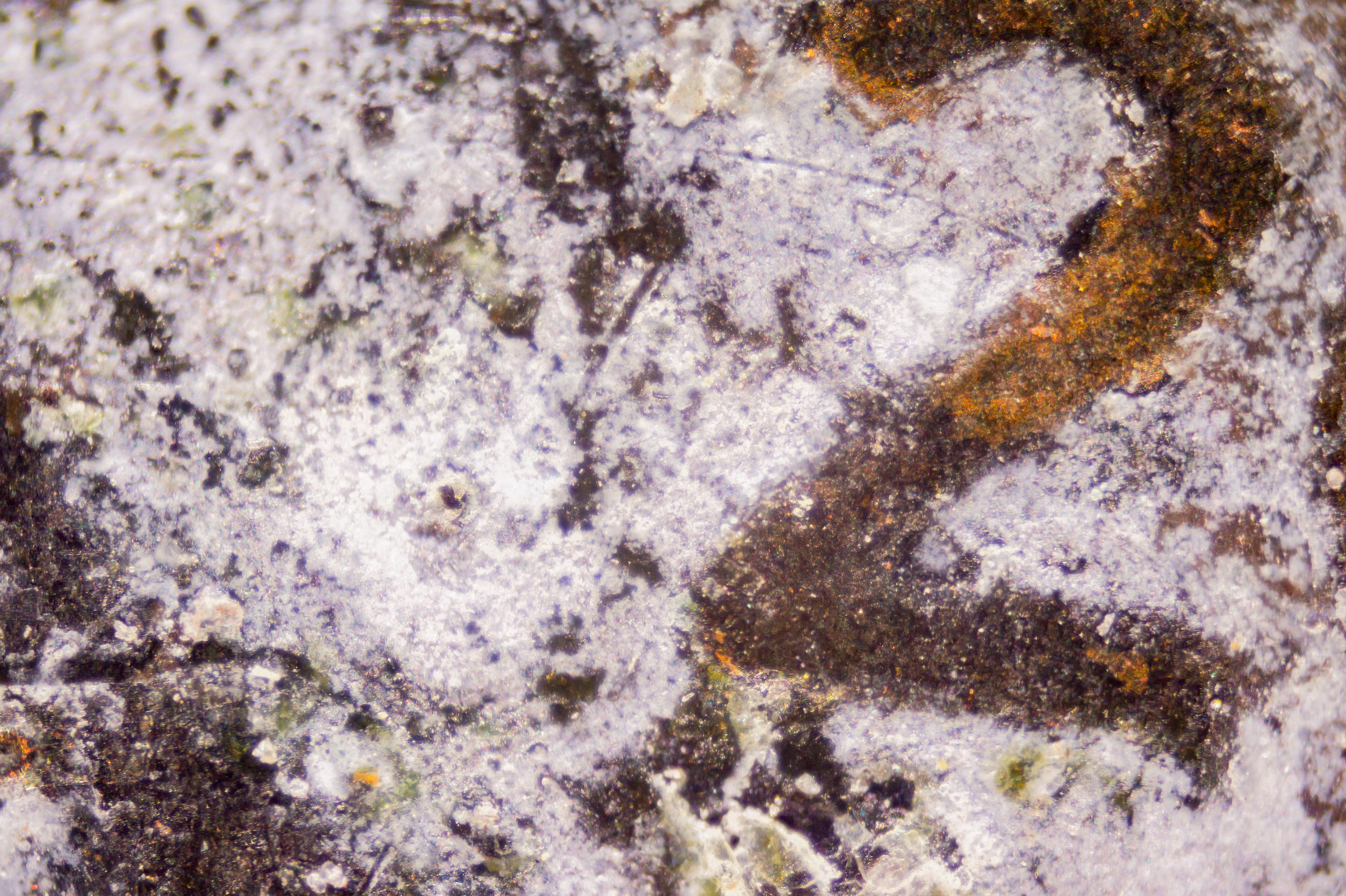 penny corroded
