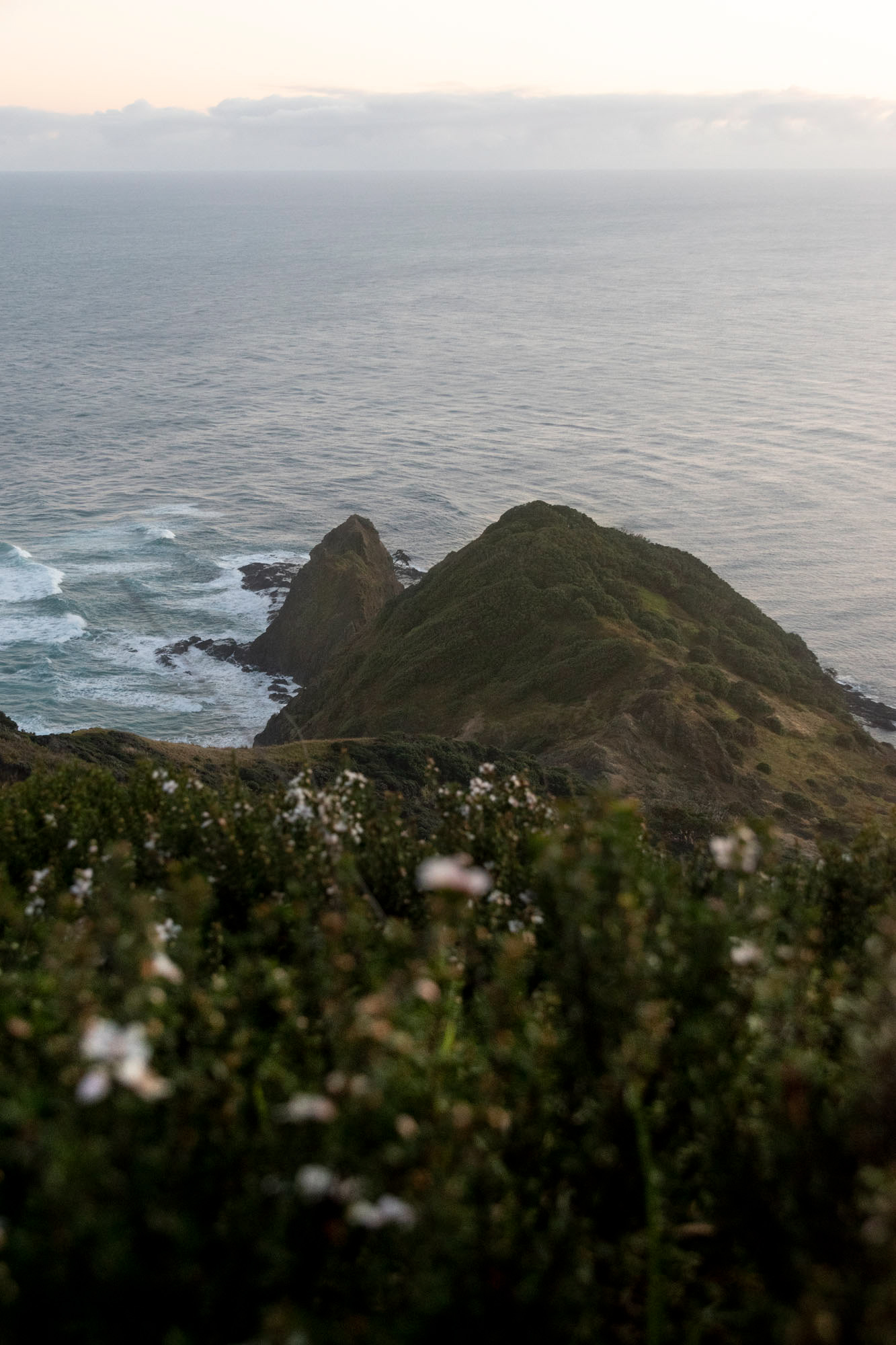 Cape Reinga