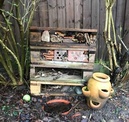 Building our community of Champions online: Not even a global pandemic can stop us. Our Climate Change Champions moved online, sharing their stories on our digital platform, to connect with – and inspire – others. Samantha and her children created a bug hotel in their garden and planted pollinator-friendly plants.