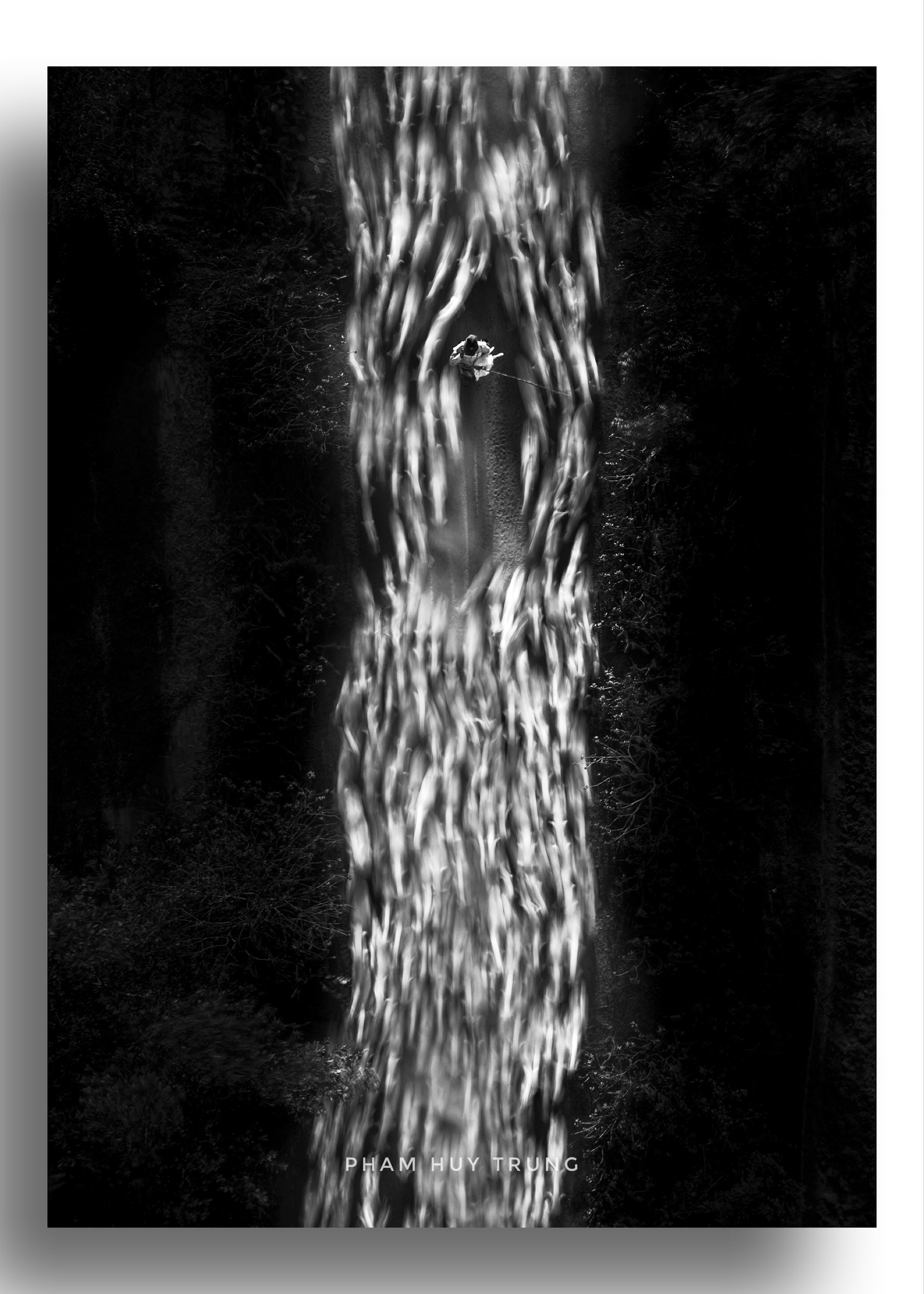 Homeward Bound- 35Awards 2019- 1st Motion