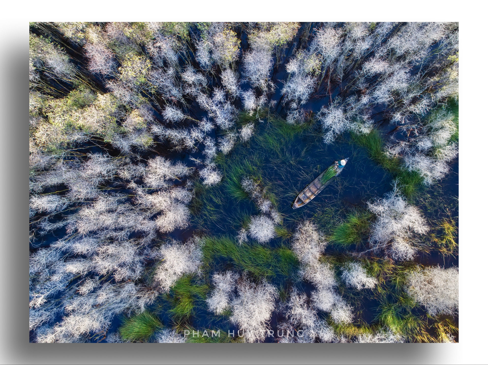 In the melaleuca forest - Sony World Photo Award 2018- Commended