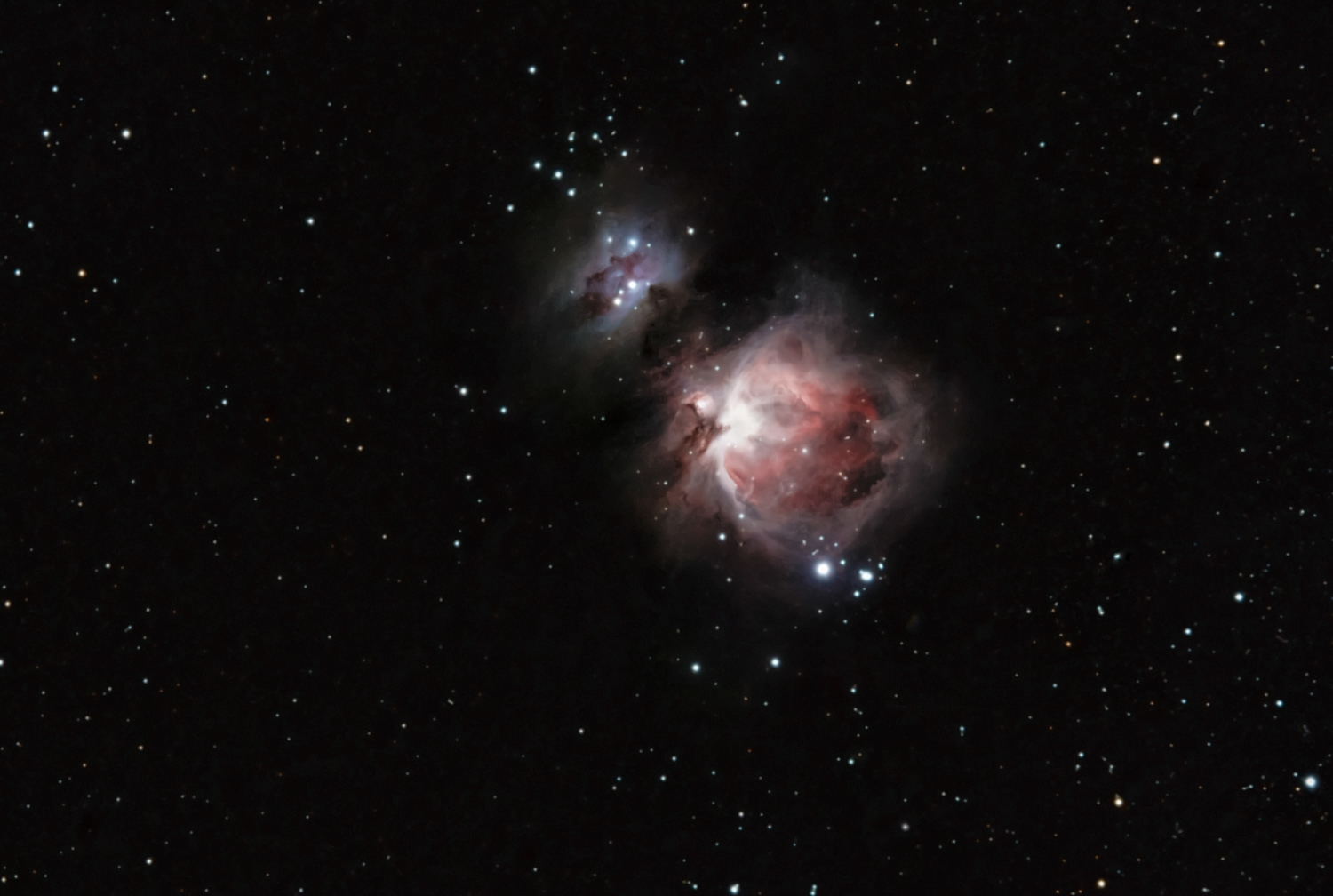 The Orion Nebula (M42) © Irwin Seidman