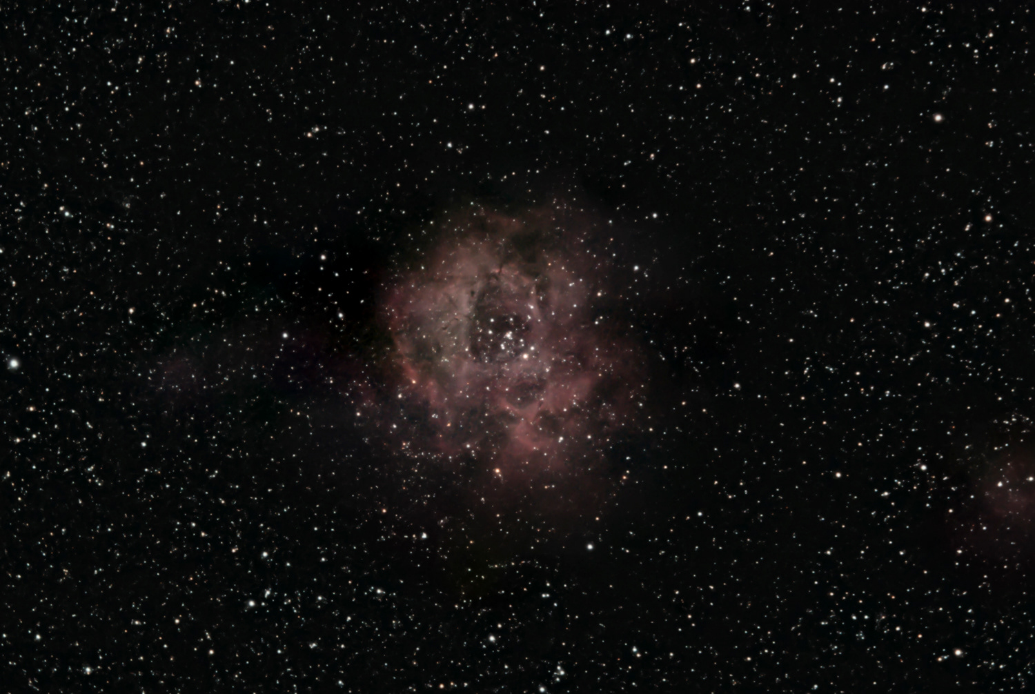 The Rosette Nebula (NGC 2237) © Irwin Seidman