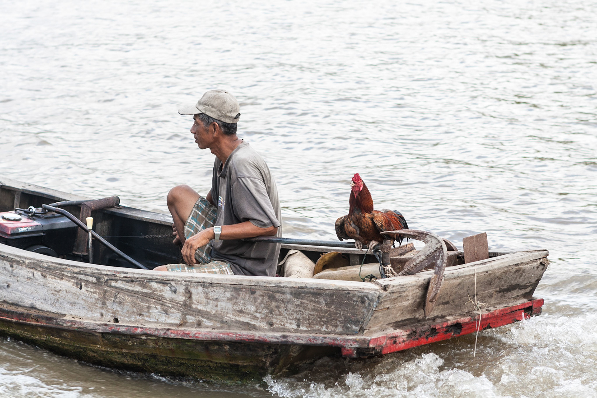 A Vietnamese man with a rooster on a boat on the Saigon River in Vietnam