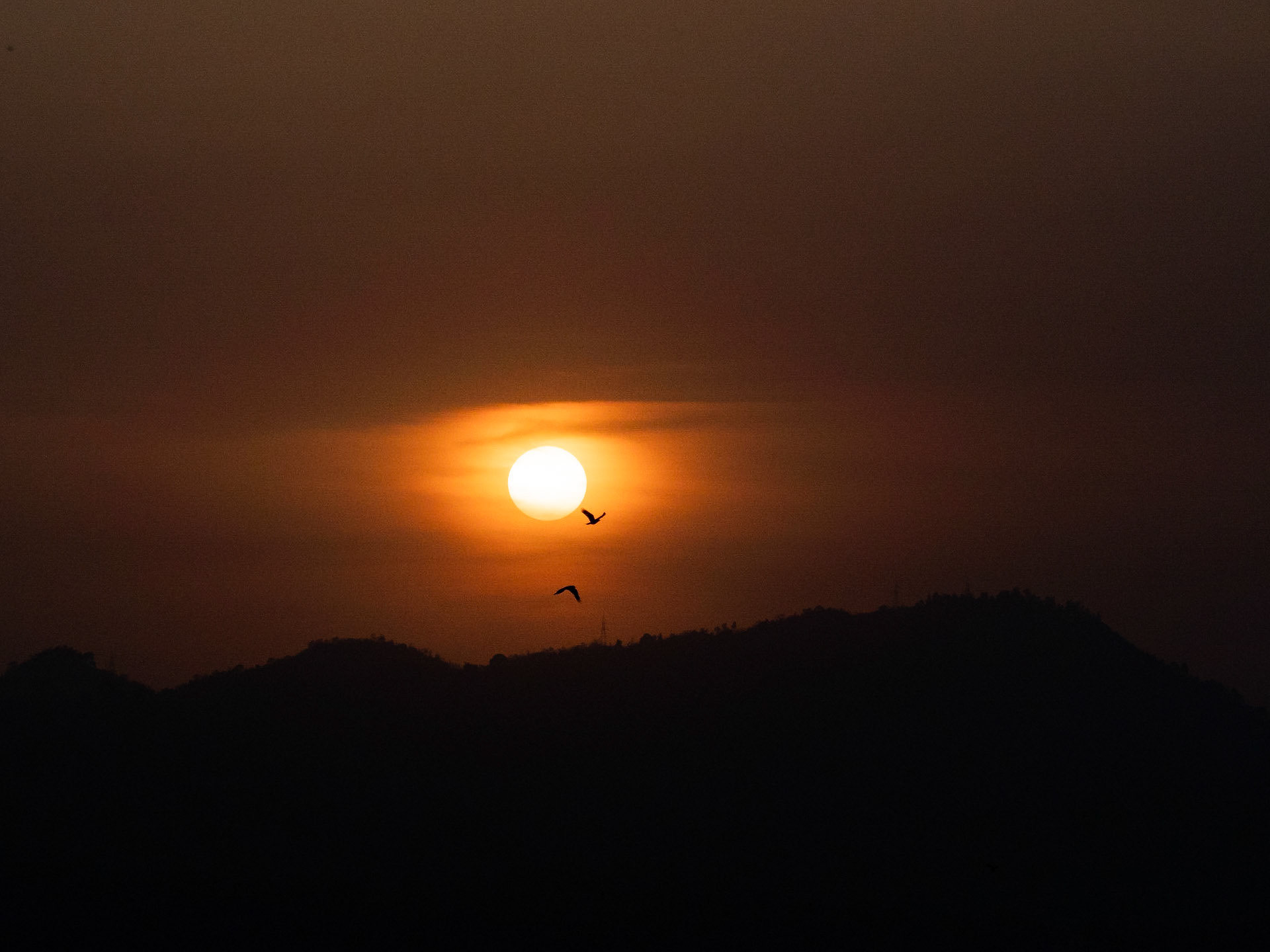 Could there be a more fitting description of the end of day?

The singleminded focus to get home to the family seemed to fuel these two crows as they ploughed their way through the warm summer air.

To me, there isn't a more exciting feeling than this - heading home to the warmth (and madness) of home.