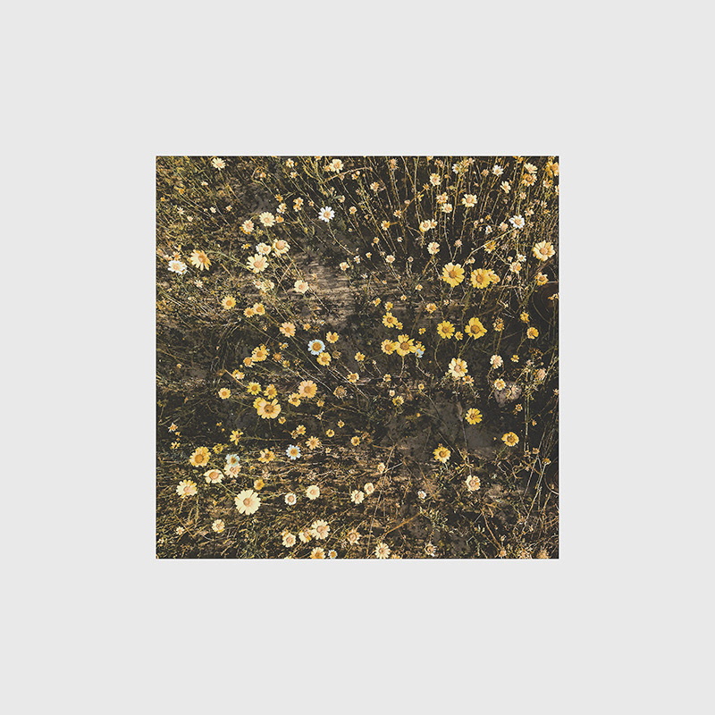 Simulation pieces
