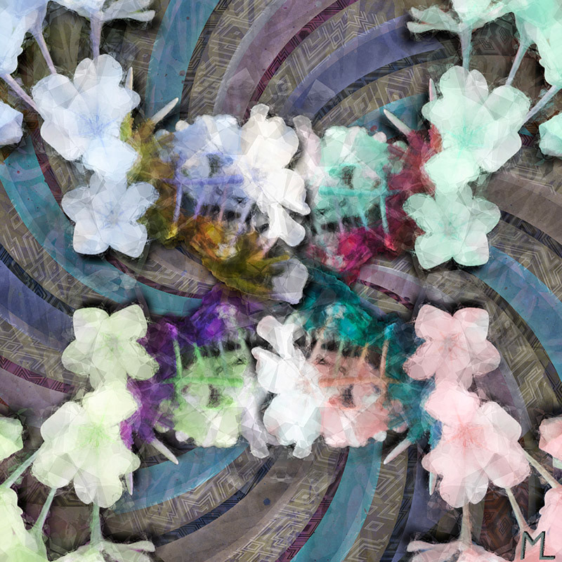 Carnival