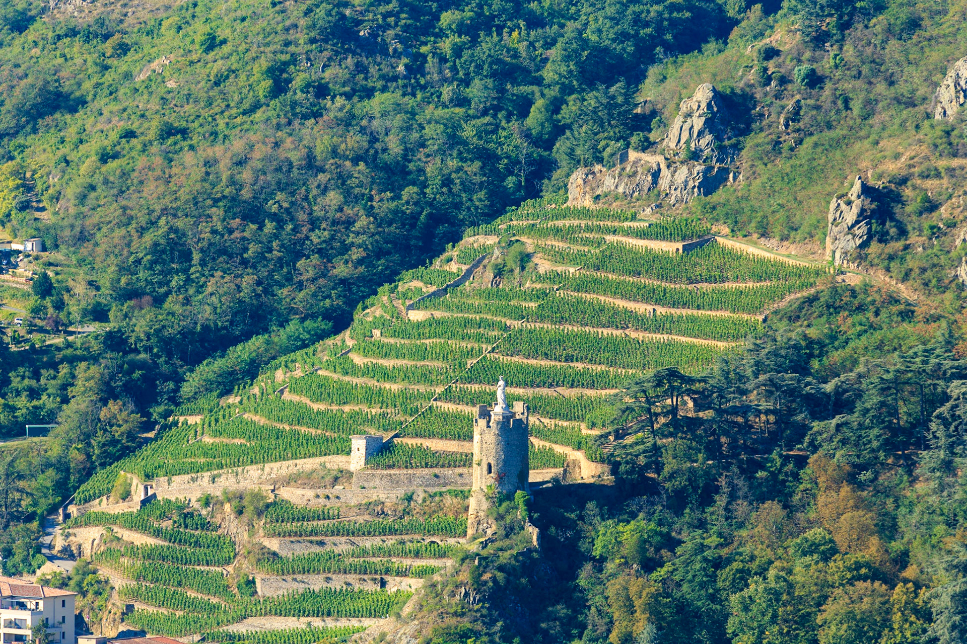 ARDECHE (07) TOURNON SUR RHONE VUE sur le SENTIER DES TOURS, LE VIGNOBLE // France. ARDECHE (07) TOURNON ON RHONE VIEW OF THE TOURS TRAIL, THE VINEYARD