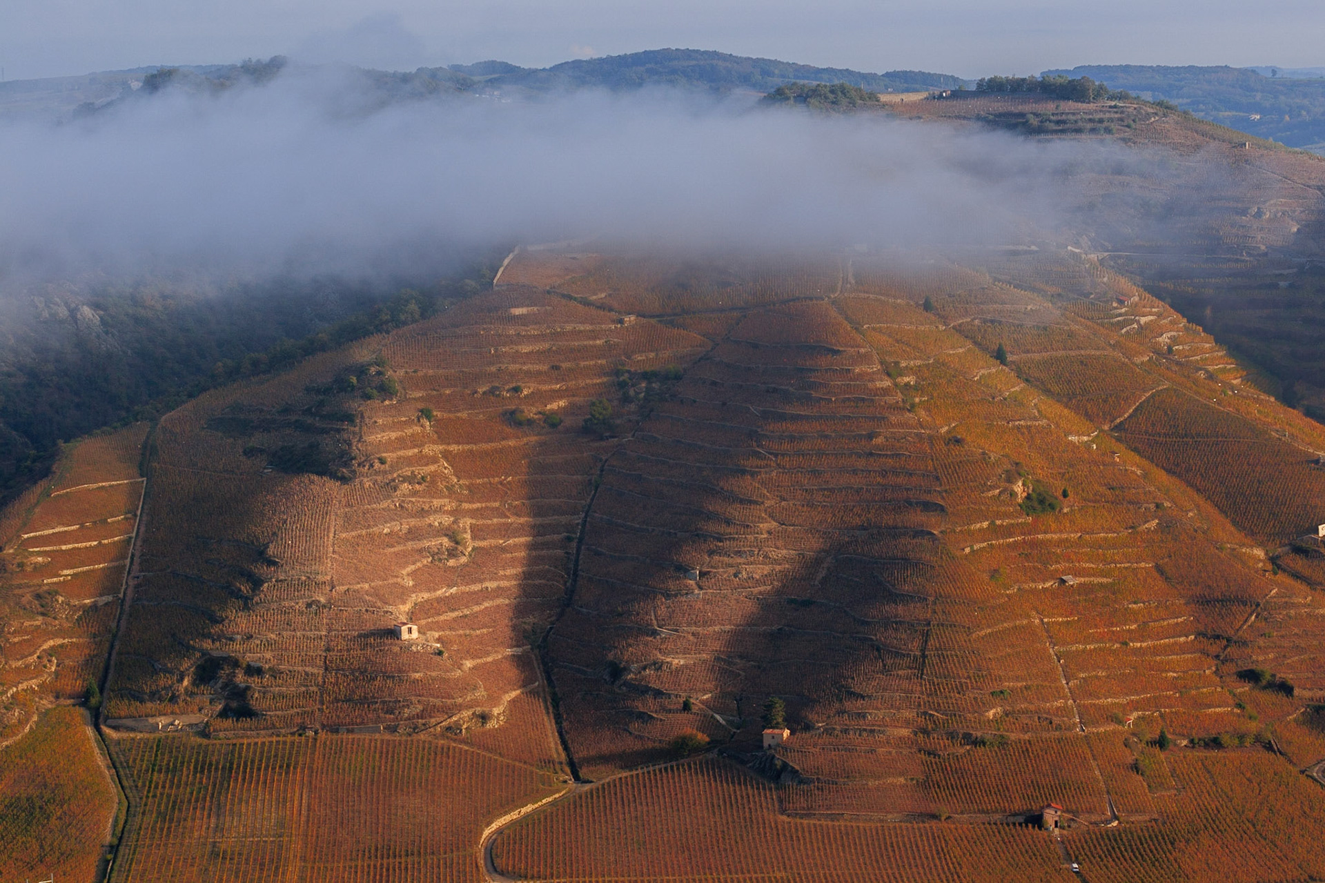 DROME (26) TAIN L'HERMITAGE PAYSAGE LE VIGNOBLE DE L'HERMITAGE BRUME AUTOMNALE // FRANCE. DROME (26) TAIN L'HERMITAGE LANDSCAPE THE VINEYARD OF THE HERMITAGE AUTUMNAL FOG
