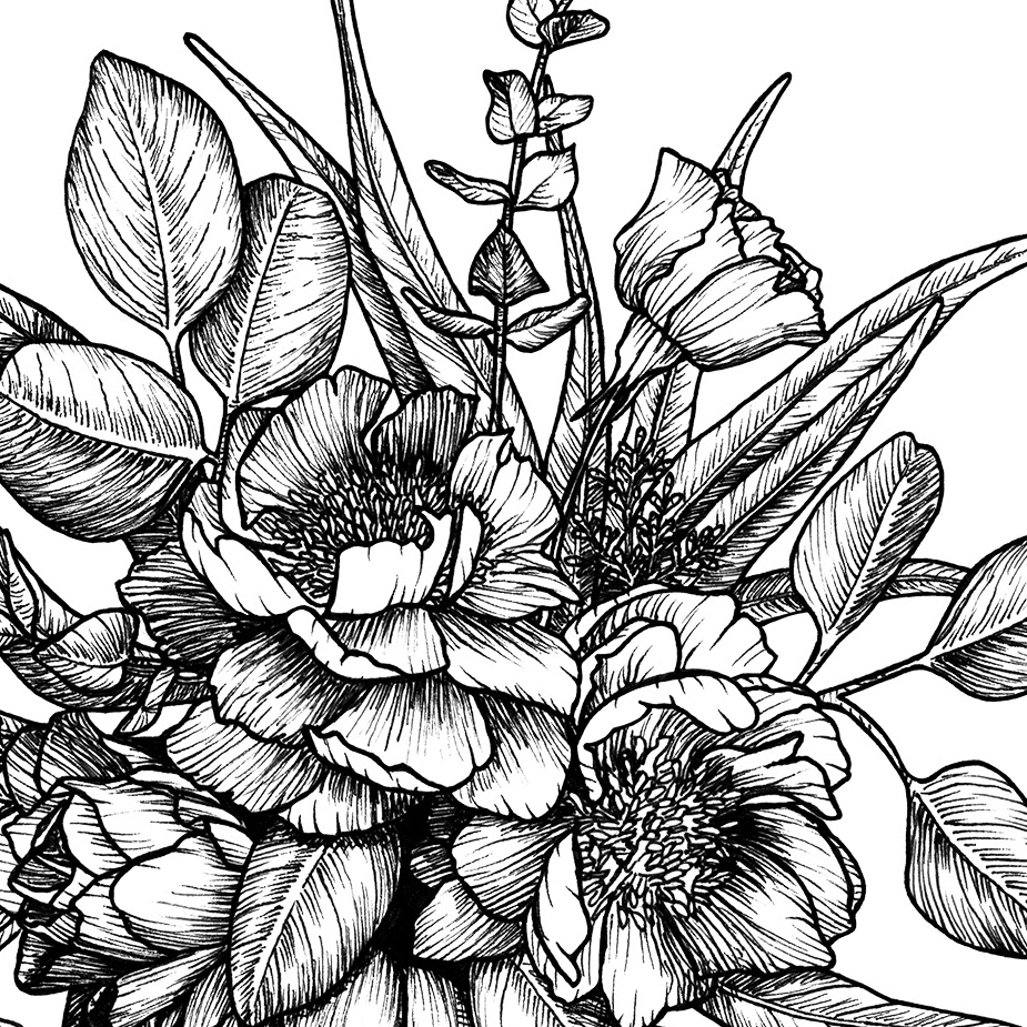Alesha Krehbiel - Botanical Pen Drawings