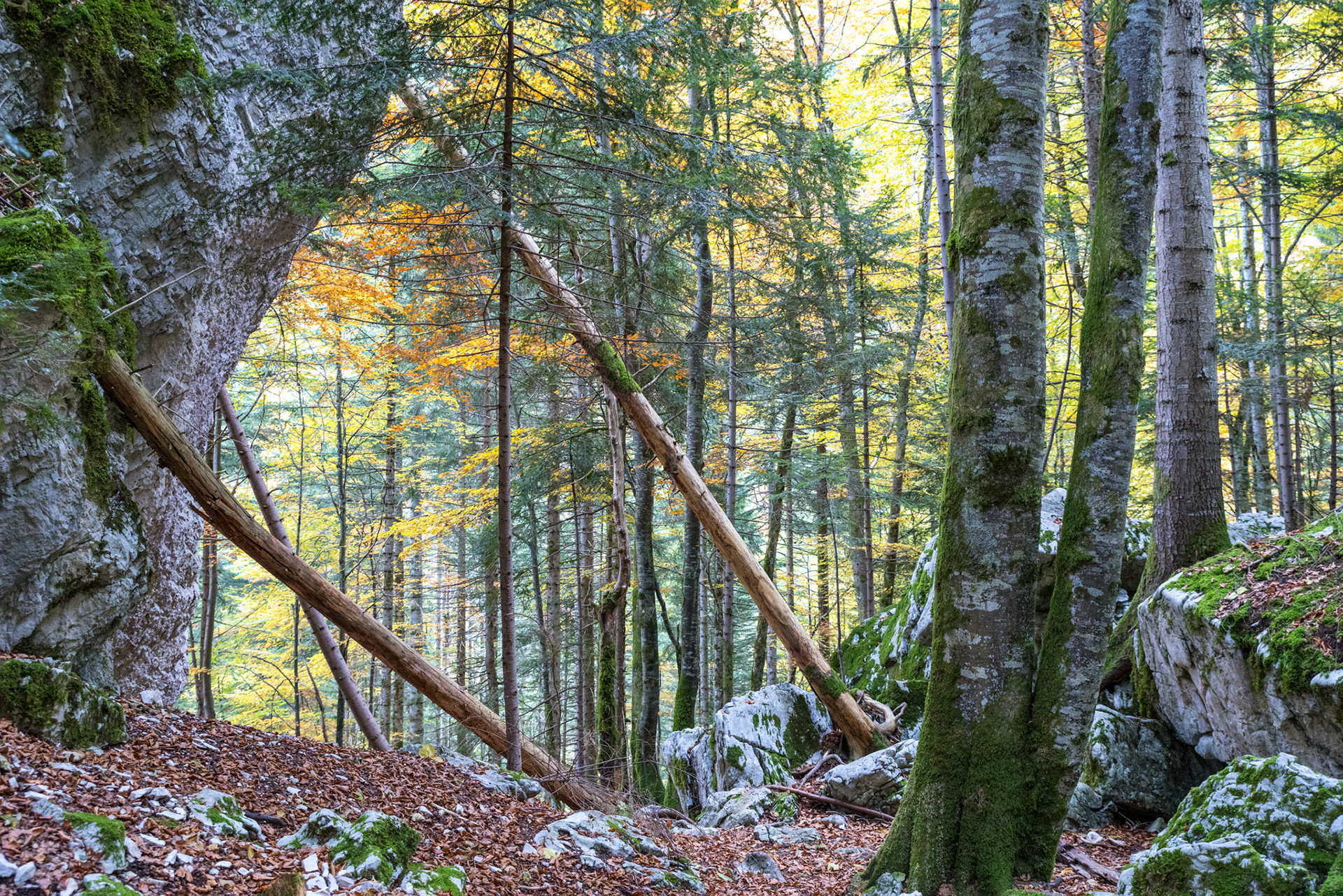 Le Cirque de Saint-Même