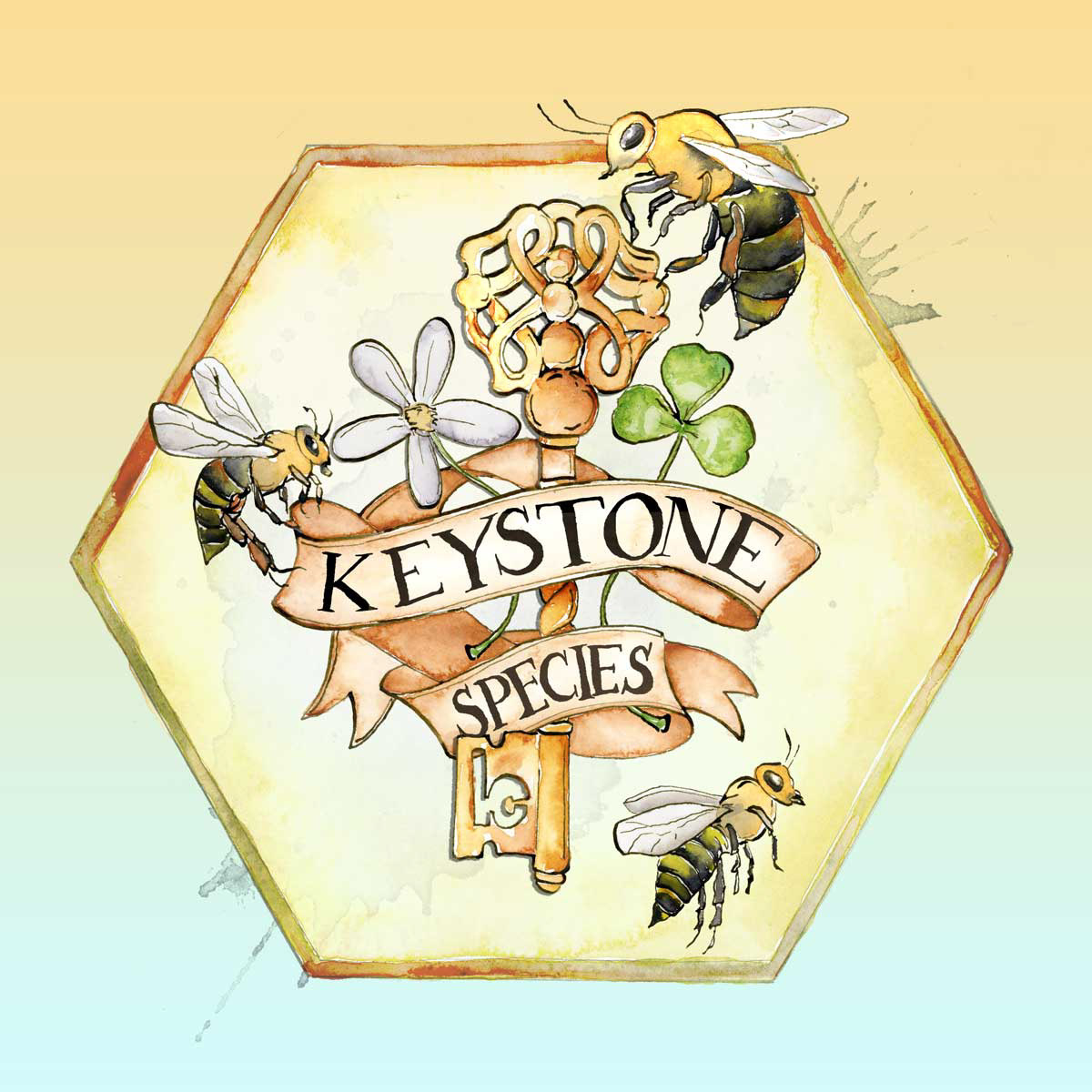 Keystone species