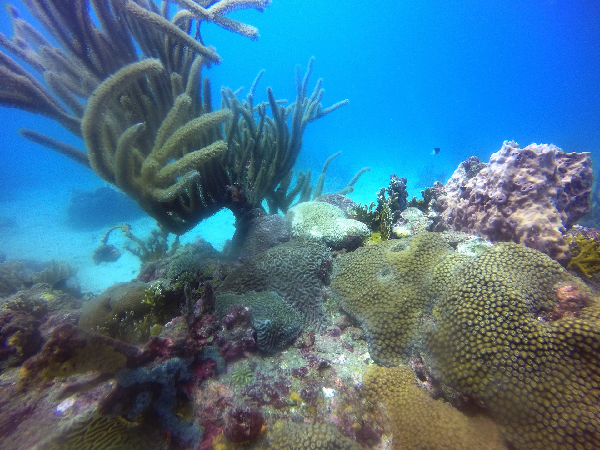 DCIM\100GOPRO\GOPR8627.
