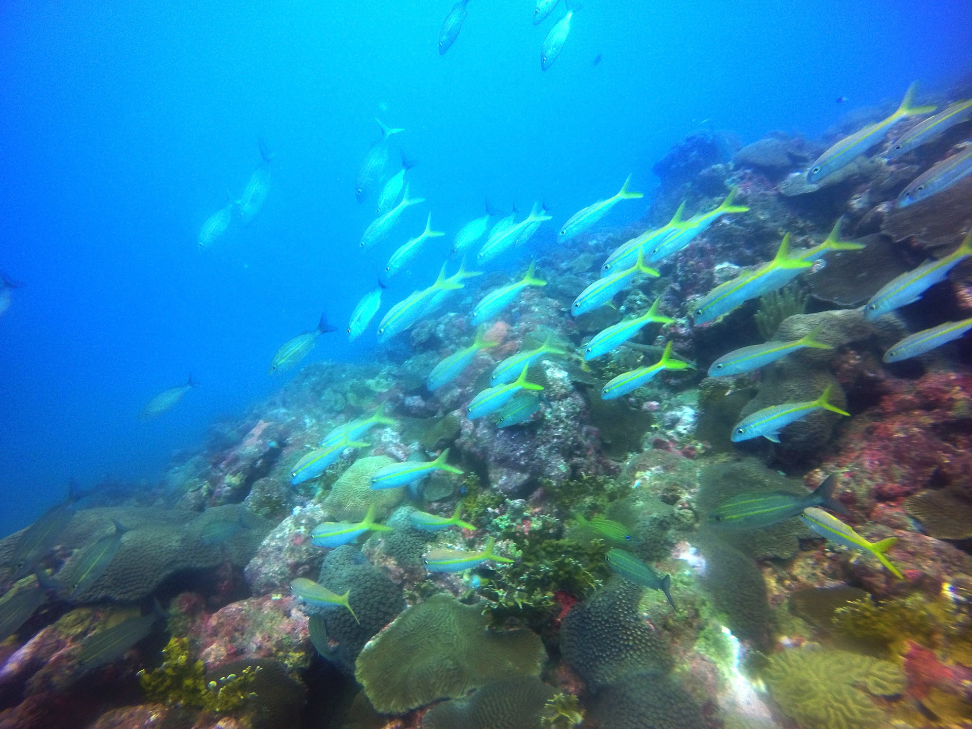 DCIM\100GOPRO\GOPR8641.