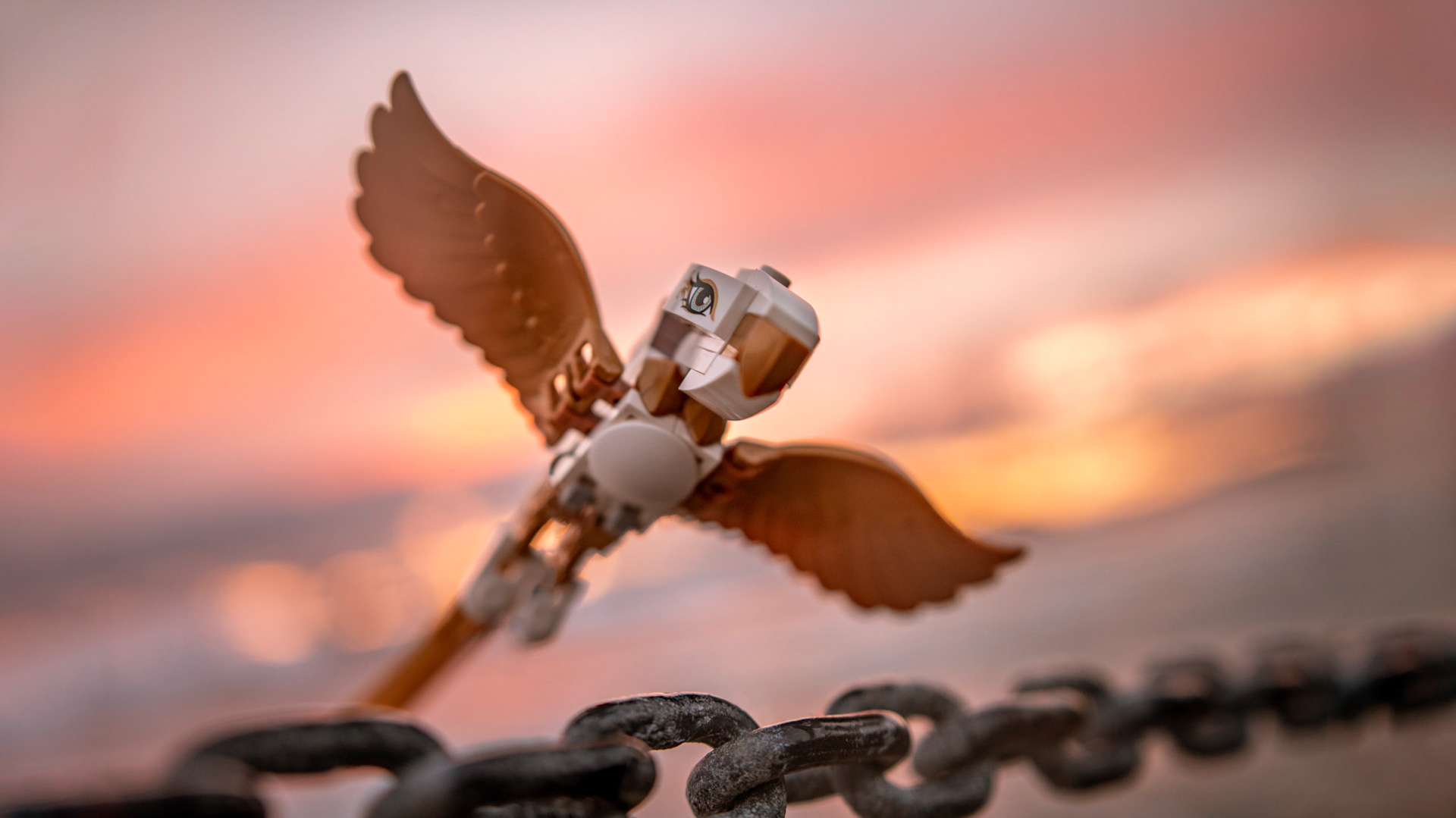 25/52 - Eagle in Action