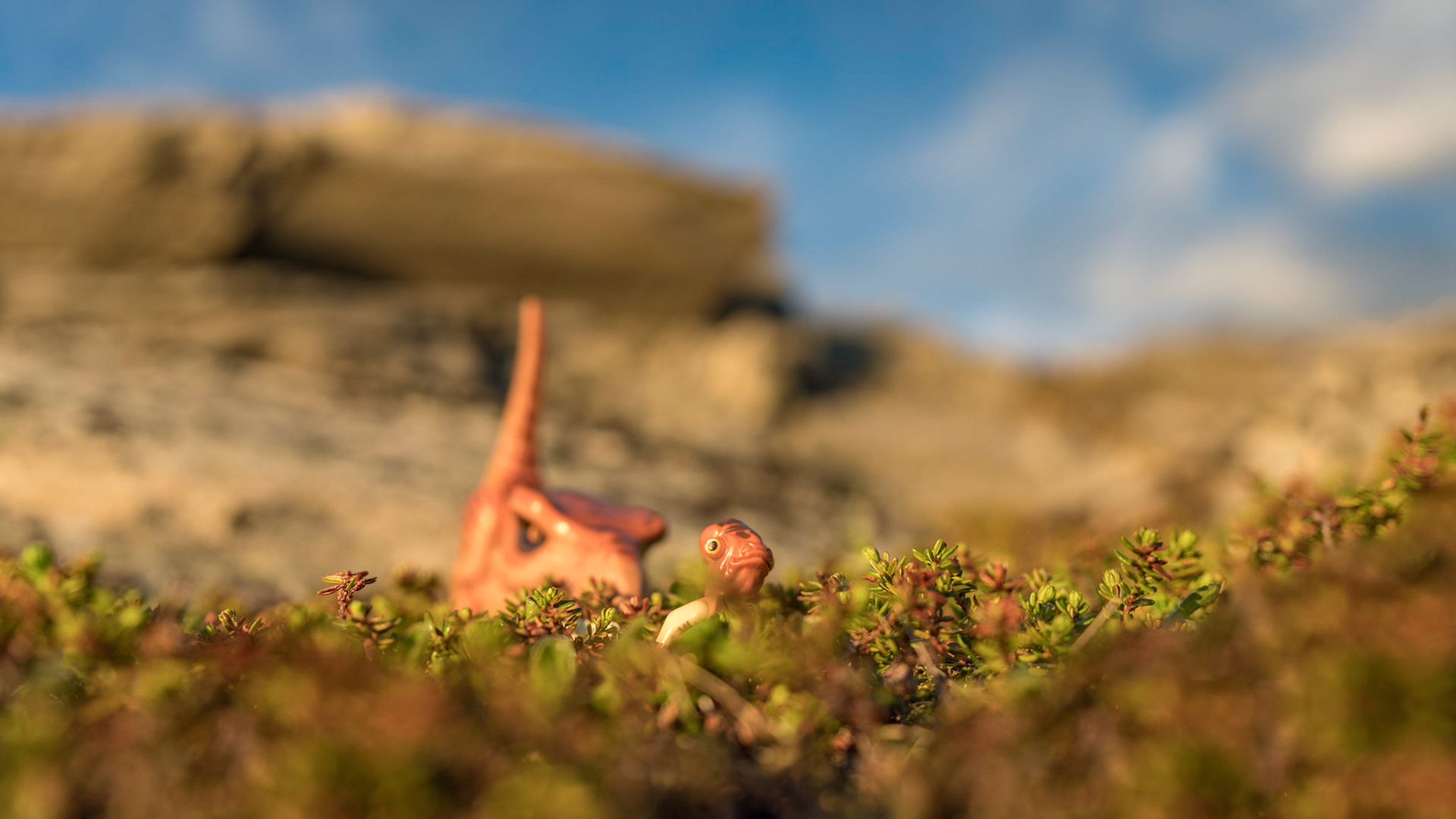 05/52 - (In)Security