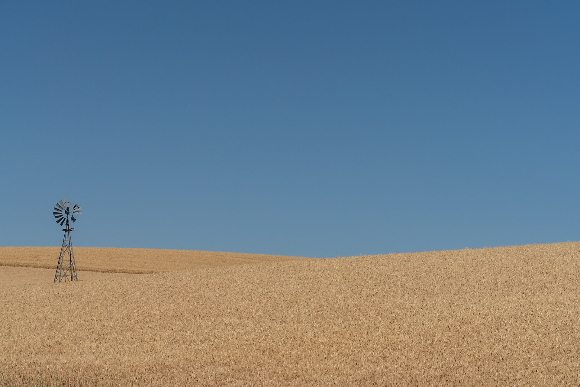 Colfax WA