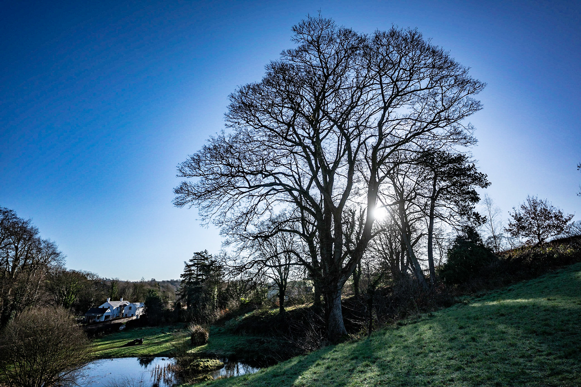Although cold ("feels like" -3) it was just a stunning morning for a walk. Torrential rain later that day so we certainly went out at the best time.