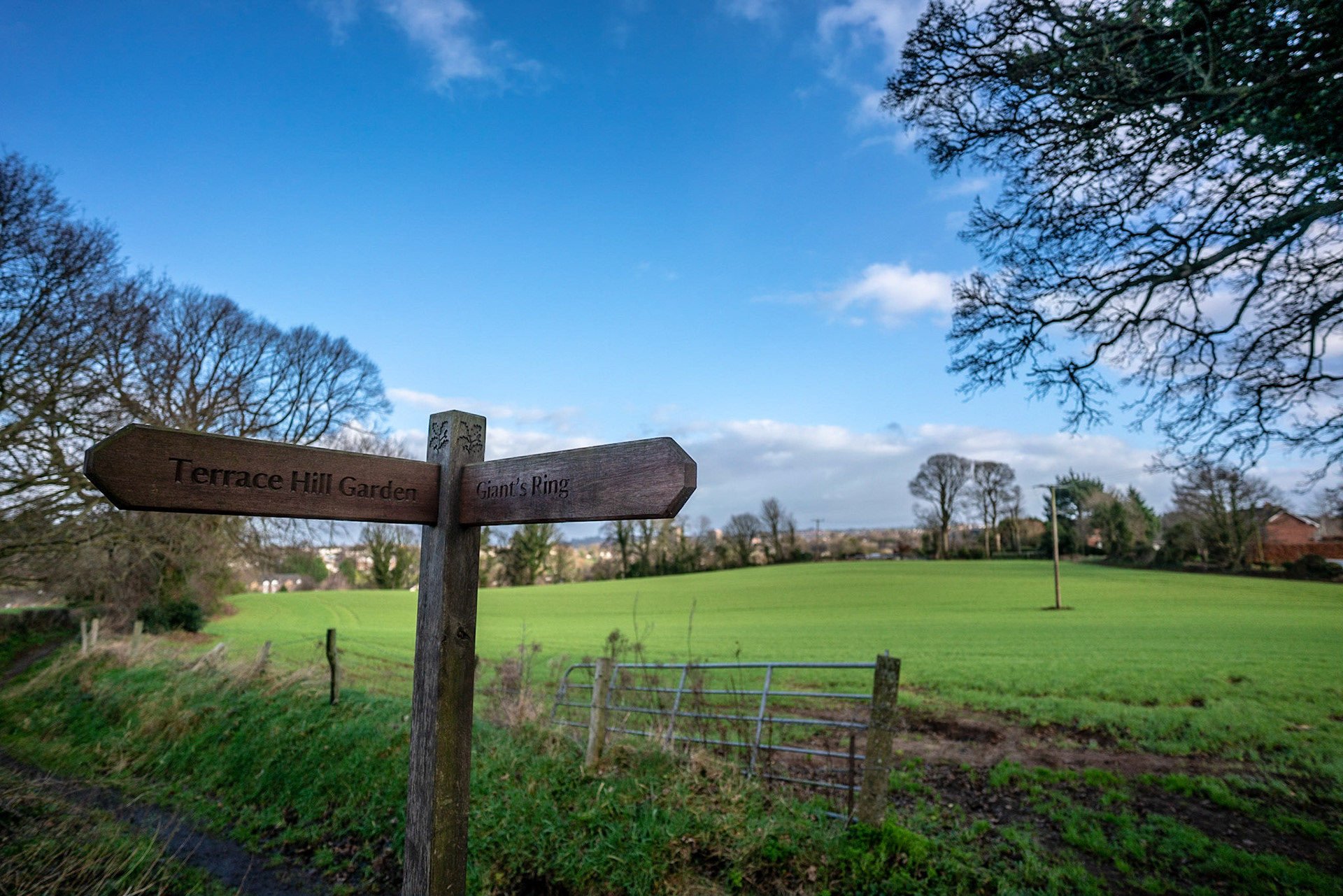 we lucked out on the walk today. Between heavy showers we managed to get the blue sky!