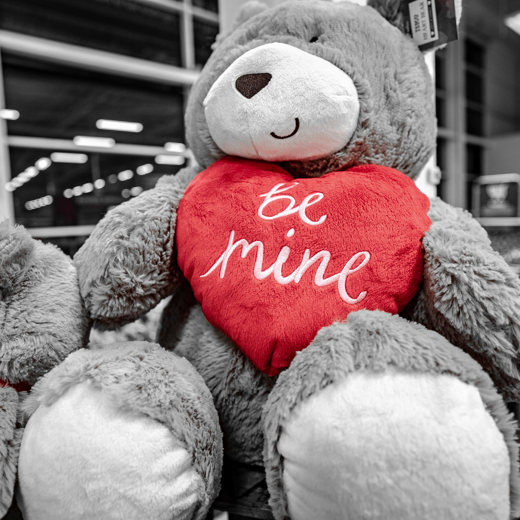 As much as I hate Valentines day, I had to get a cheese photo. This one was taken in a very romantic location - Tescos :)