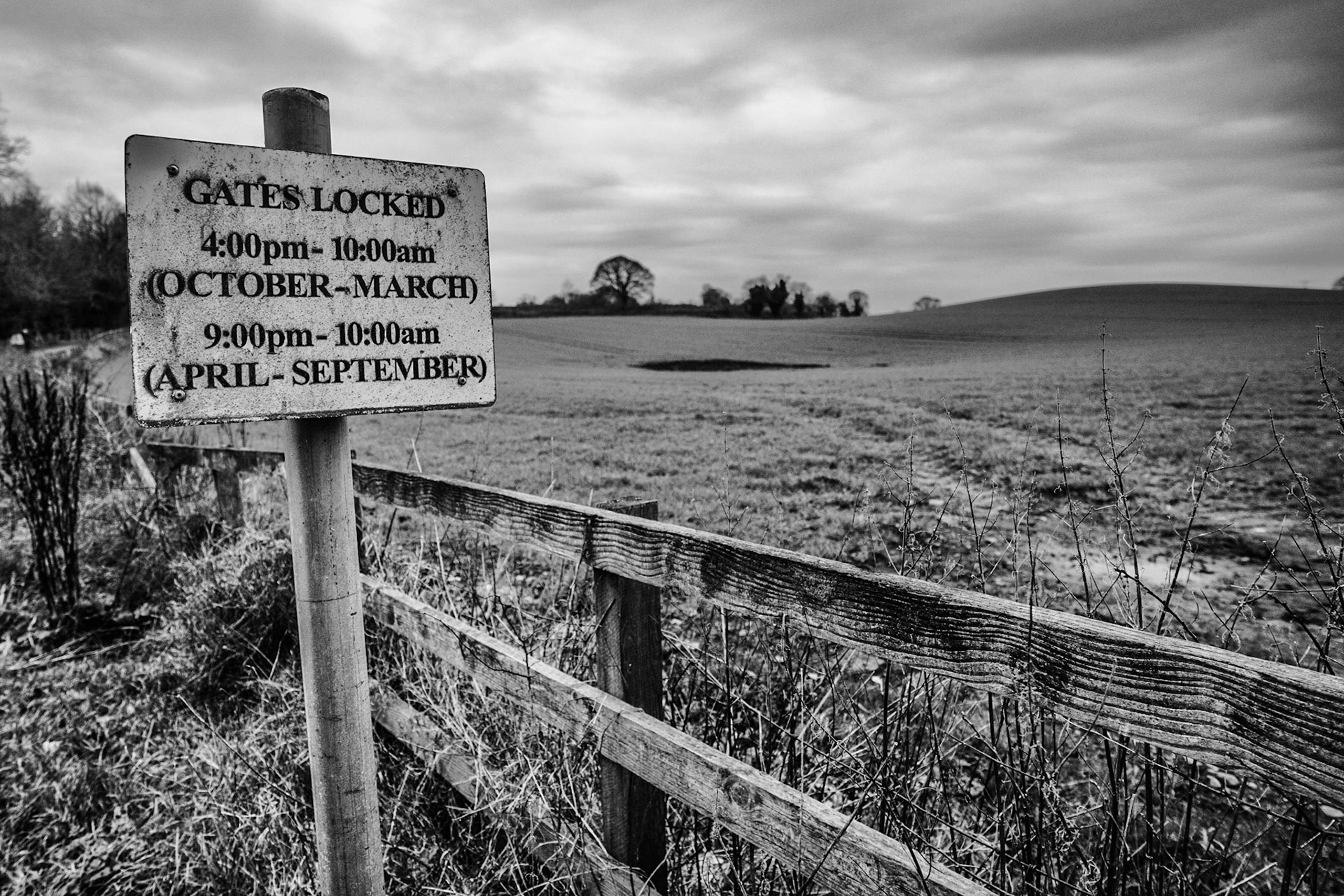 Back to the Giants ring