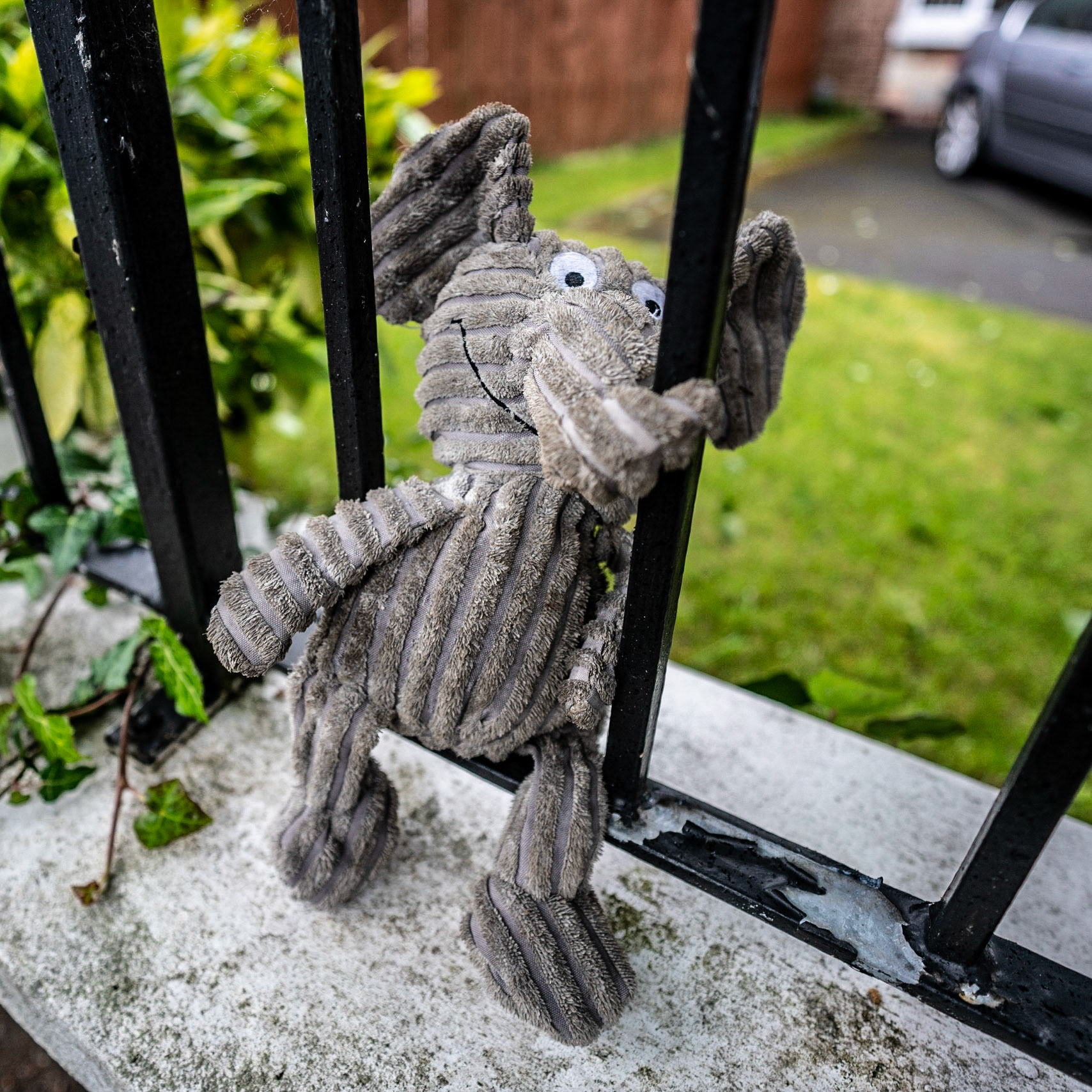 Frankie found a friend today