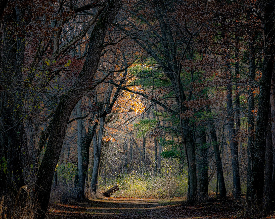 Lapham Peak SP - Delafield WI, 2021