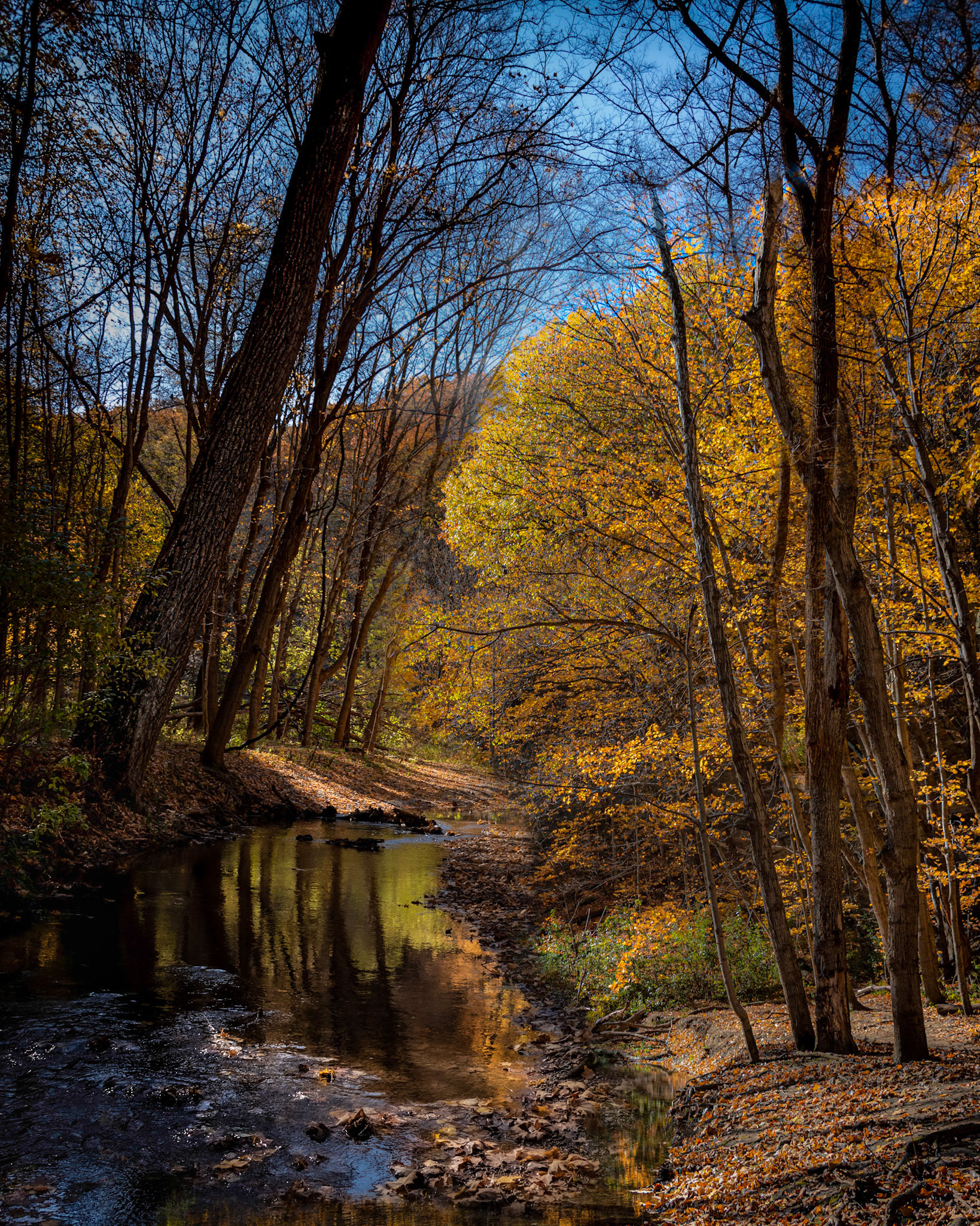 Illinois Canyon, Starved Rock SP, Utica Illinois