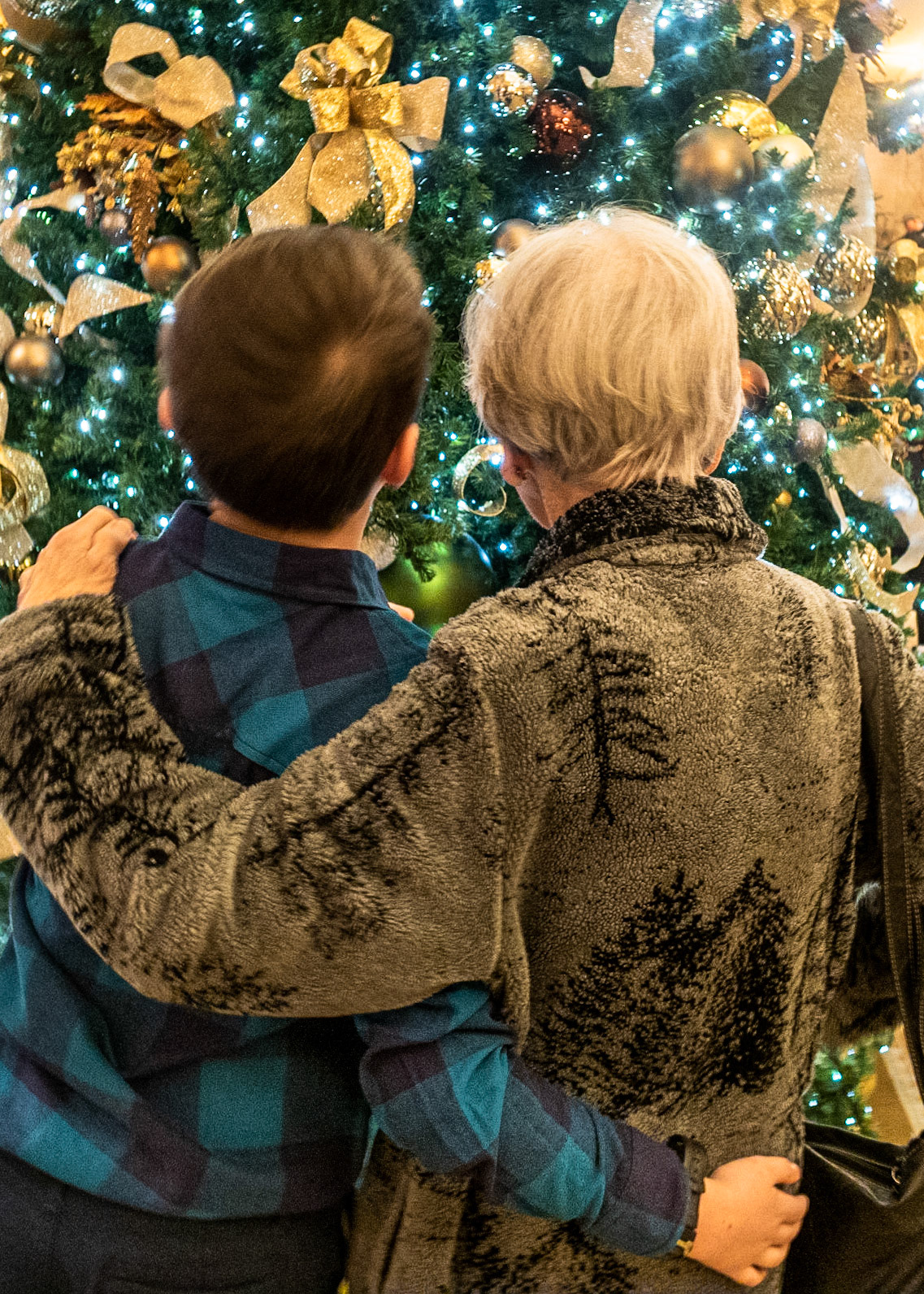 Carter, Busia and Christmas at the Pfister, Milwaukee WI  December 2019