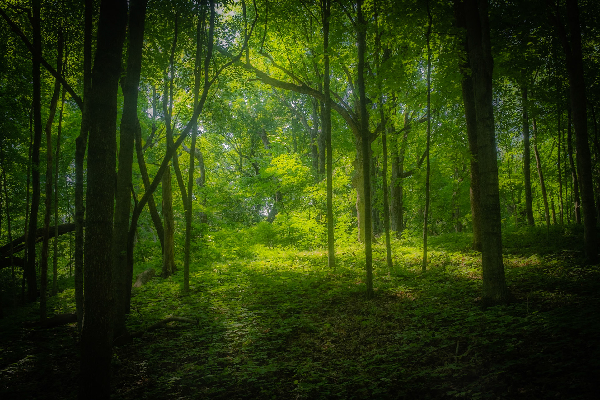 Pike Lake SP, Hartford WI May 2021